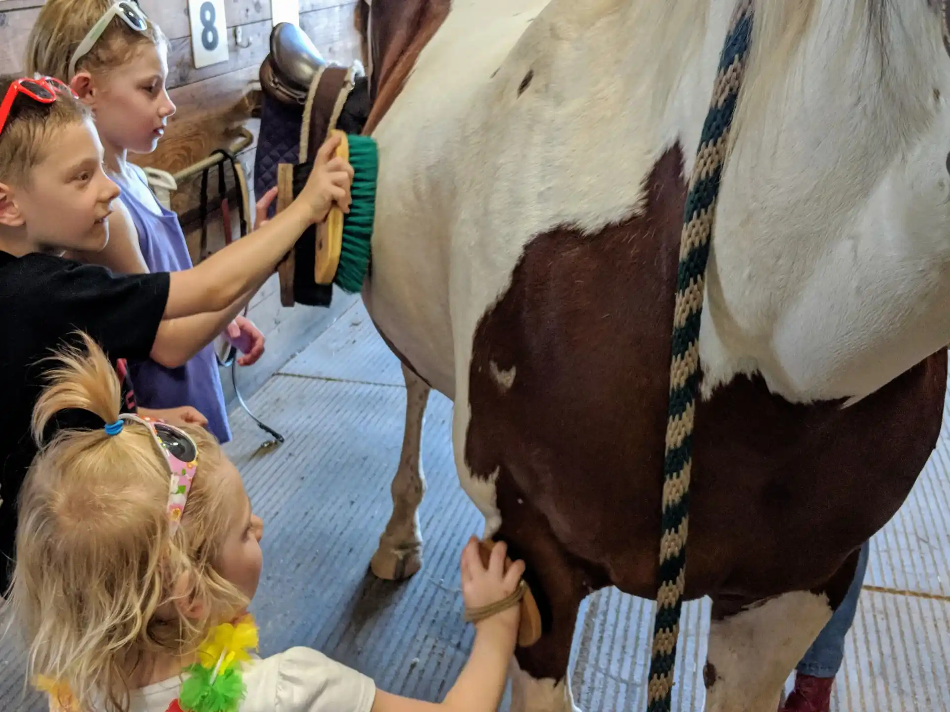 a group of girls petting a horse