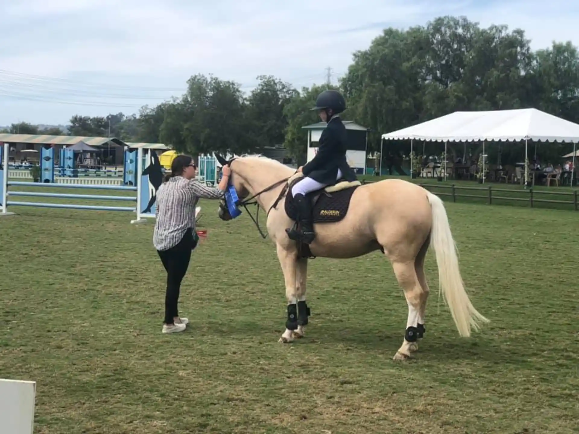 a person riding a horse