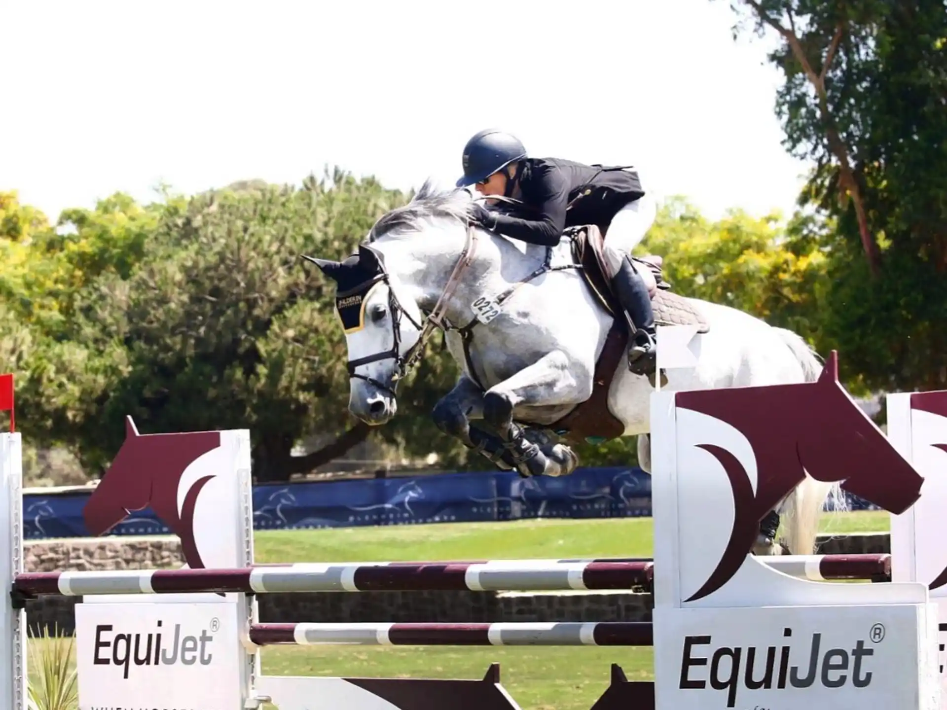 a person riding a horse over a jump