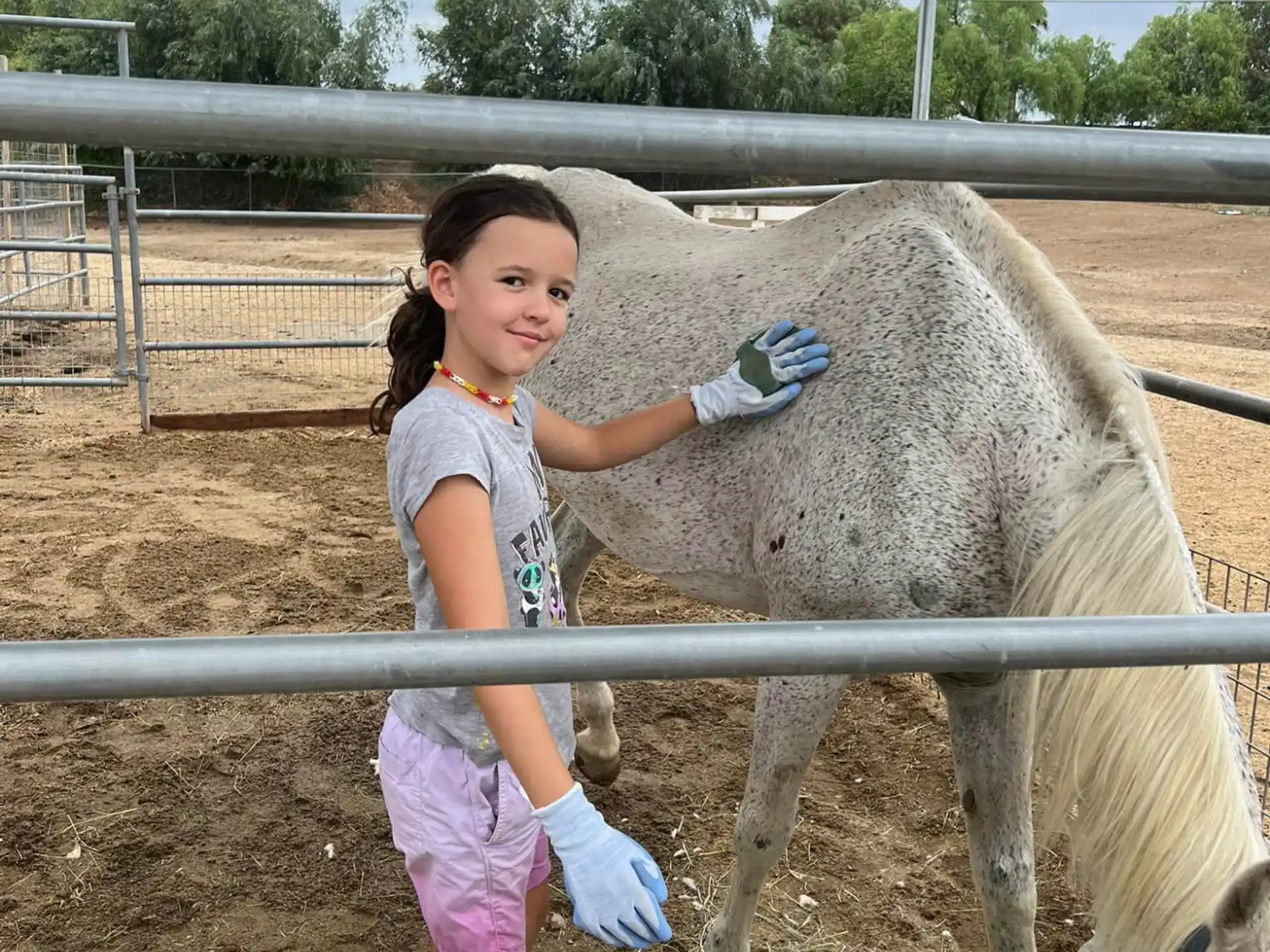 a girl petting a horse