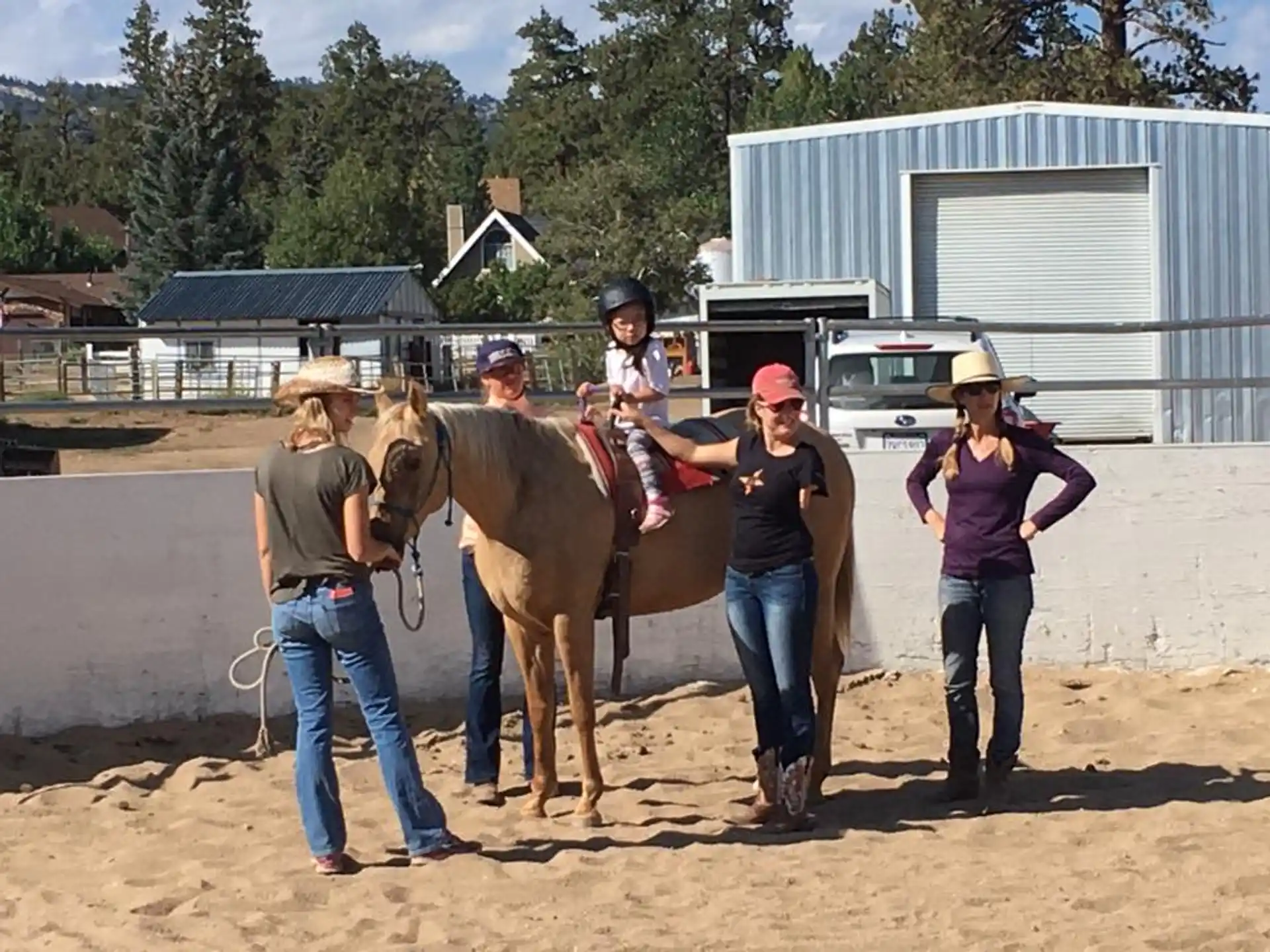 a group of people standing next to a camel