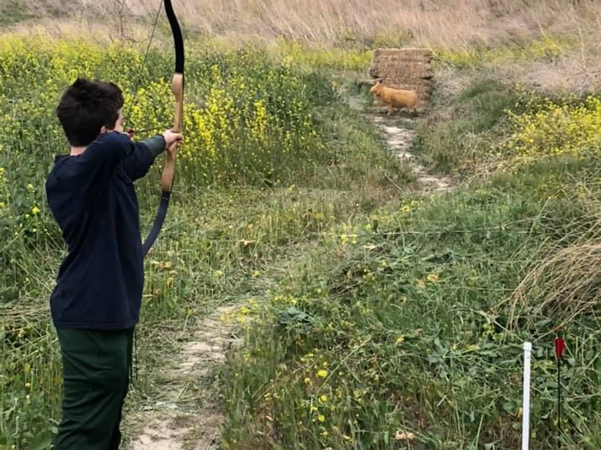 a boy holding a bow and arrow