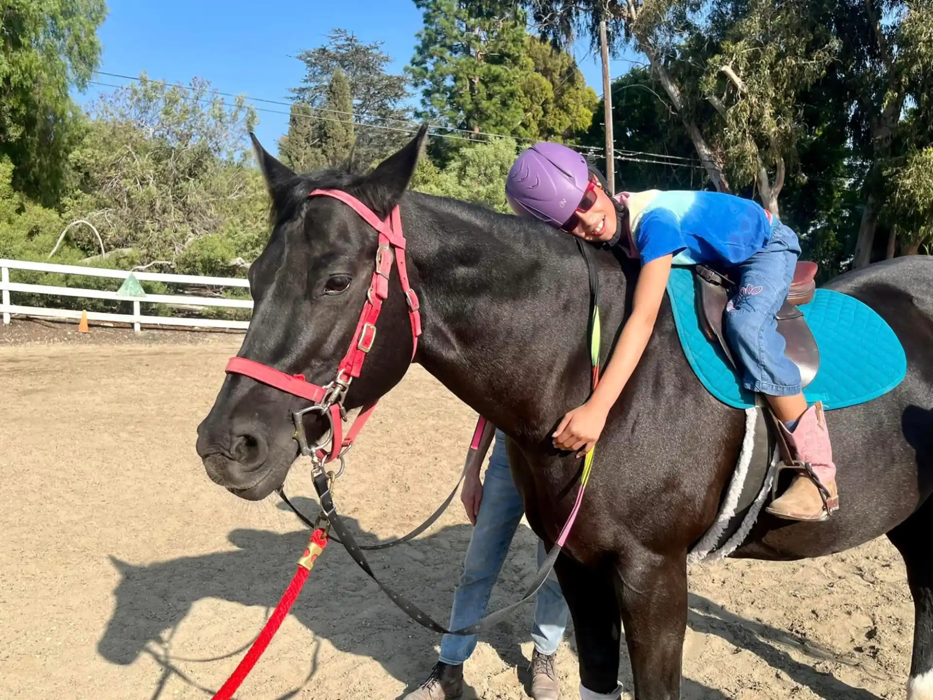 a person riding a horse