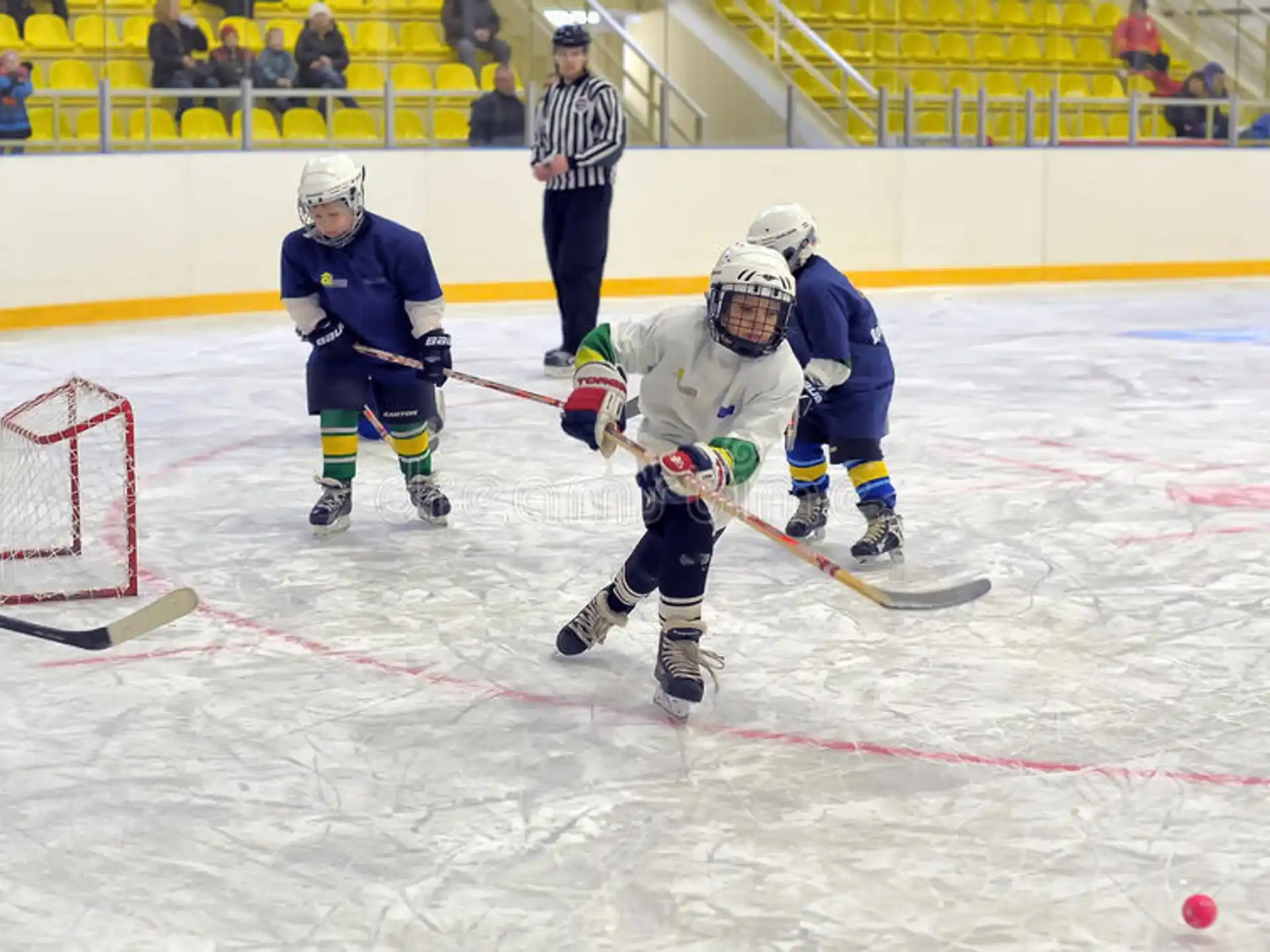 a group of people playing hockey