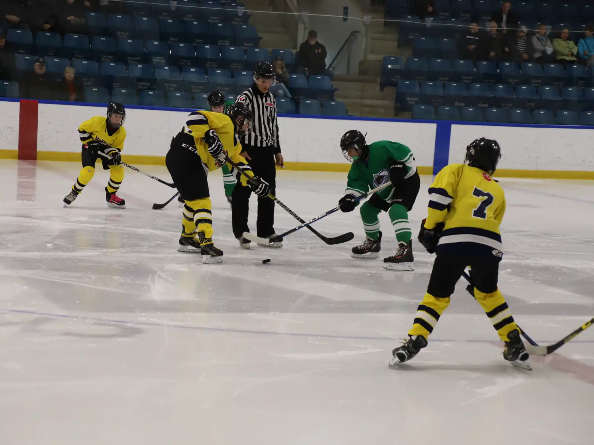 a group of people playing hockey