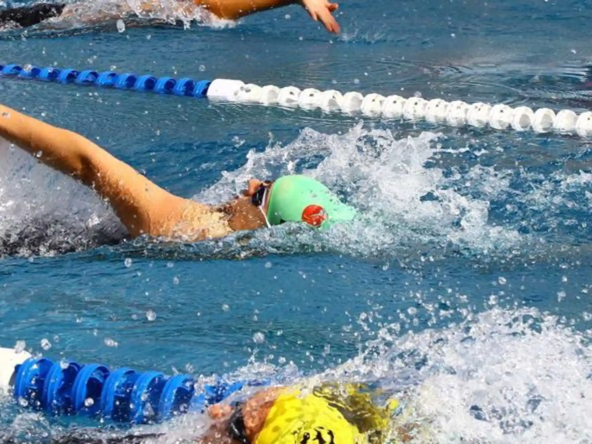 a person swimming in a pool