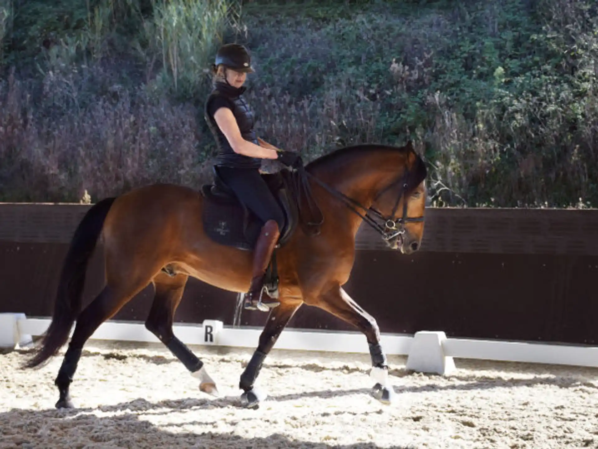 a person riding a horse