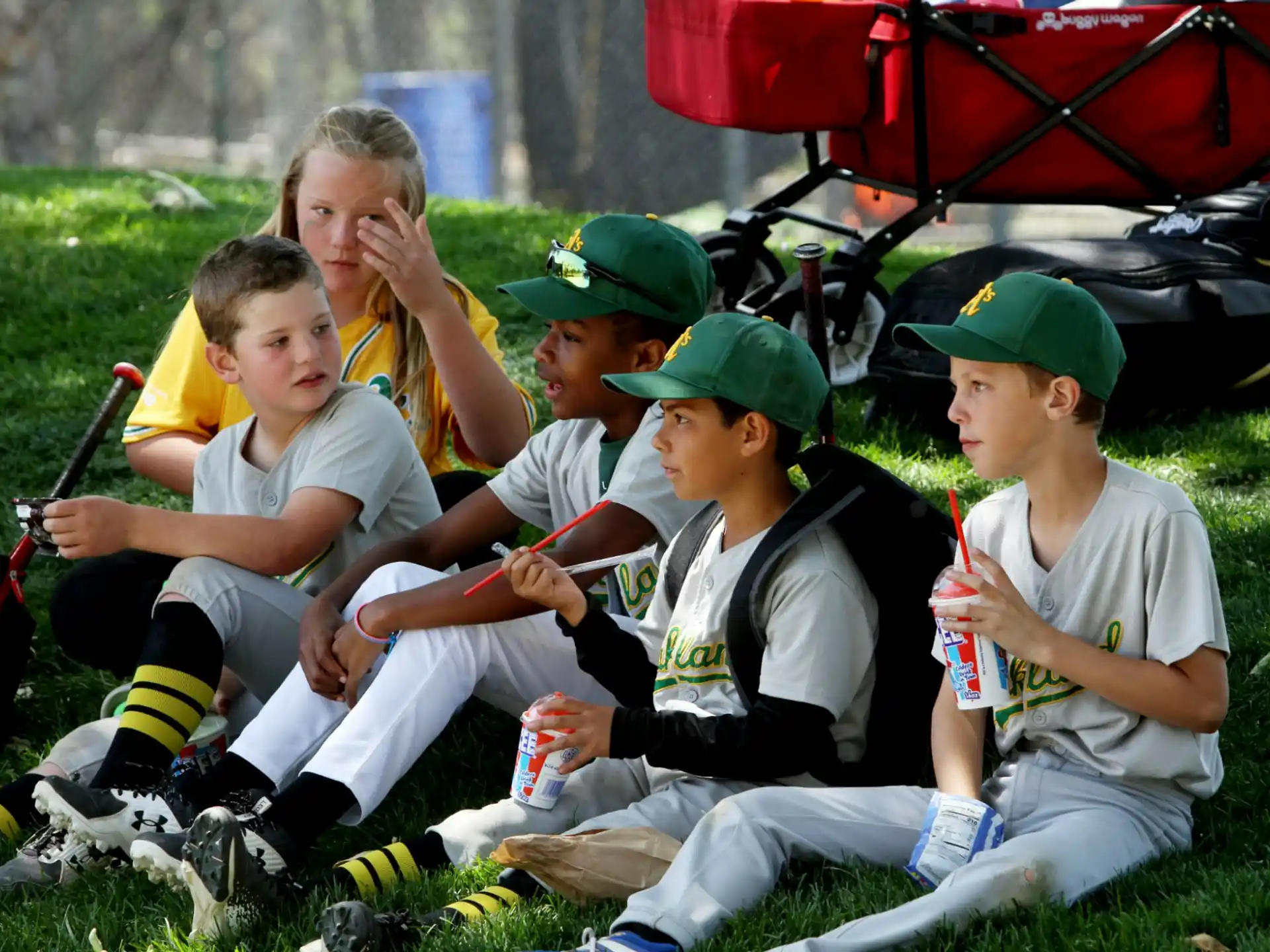 a group of kids sitting on the grass