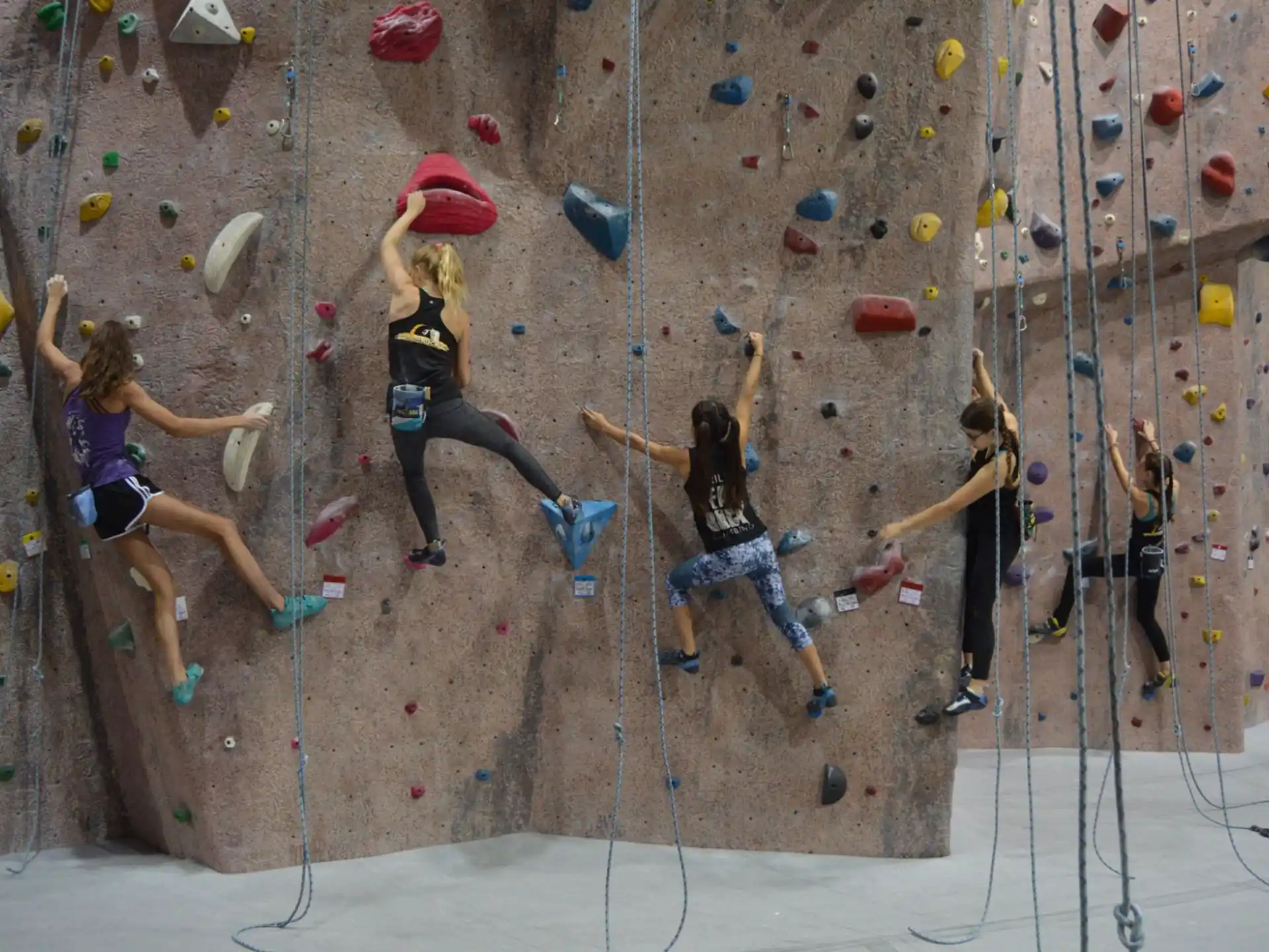 a group of women climbing a rock wall