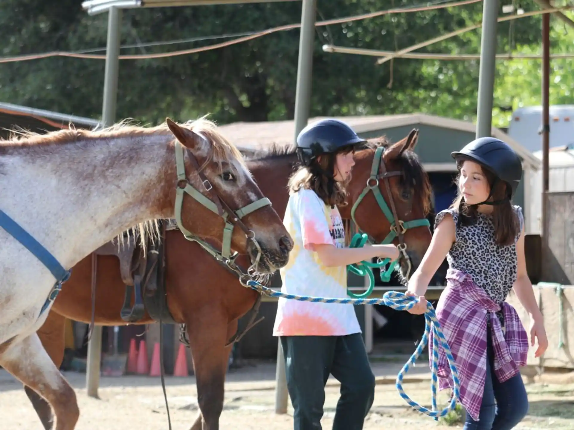 a couple of women standing next to a horse