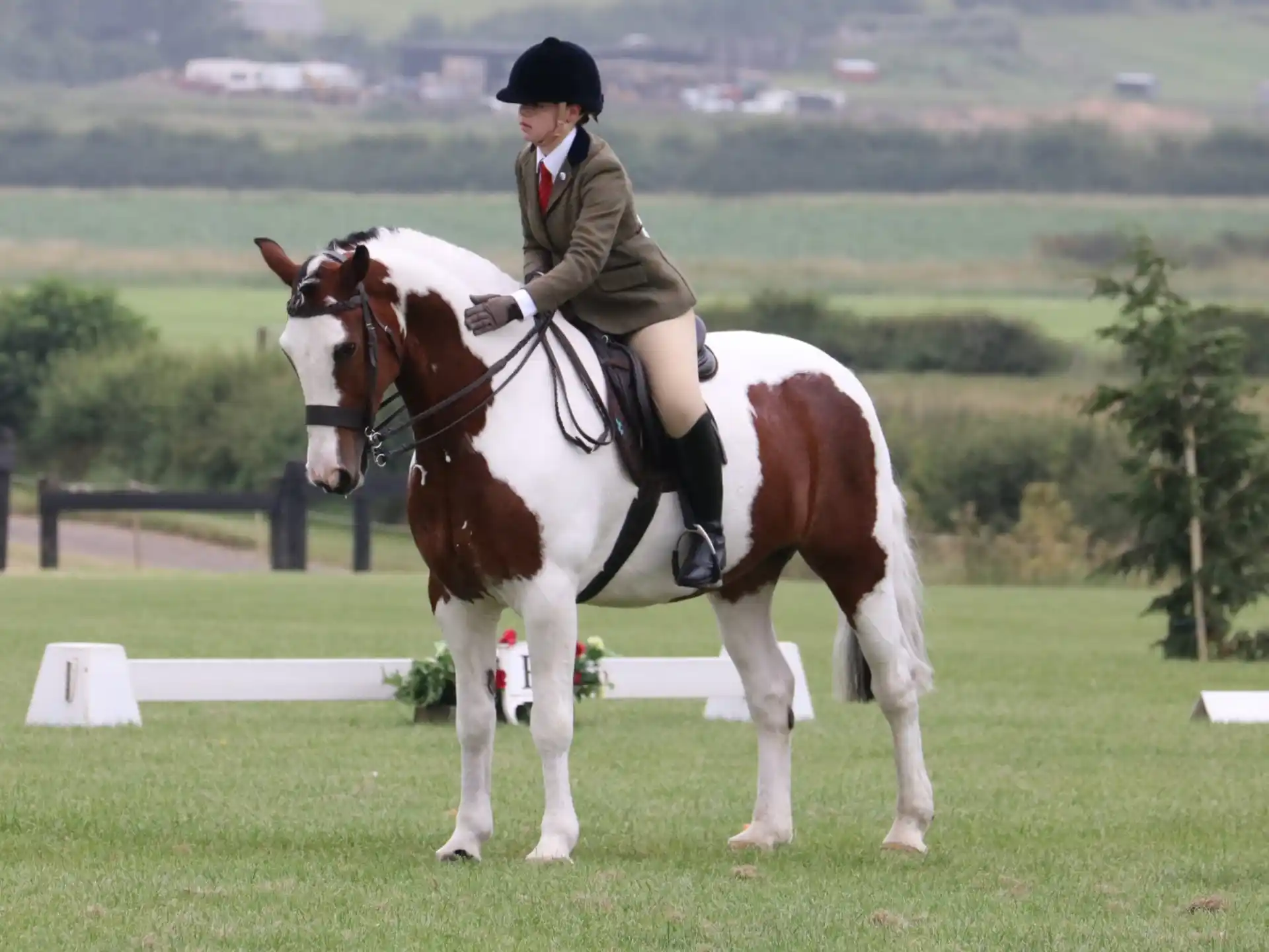 a man riding a horse