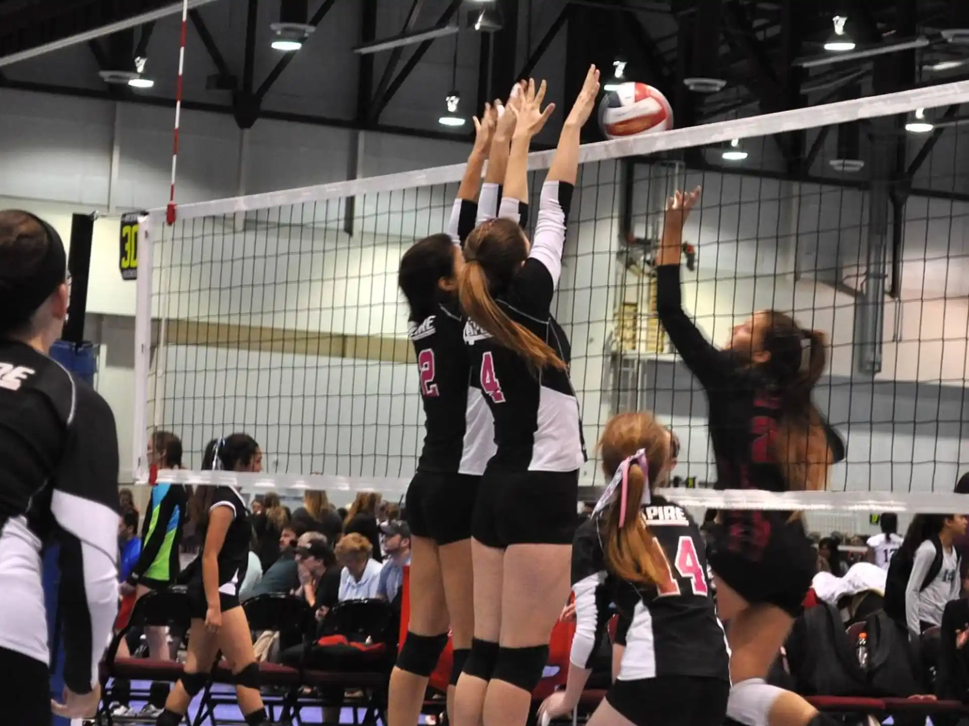 a group of women playing volleyball
