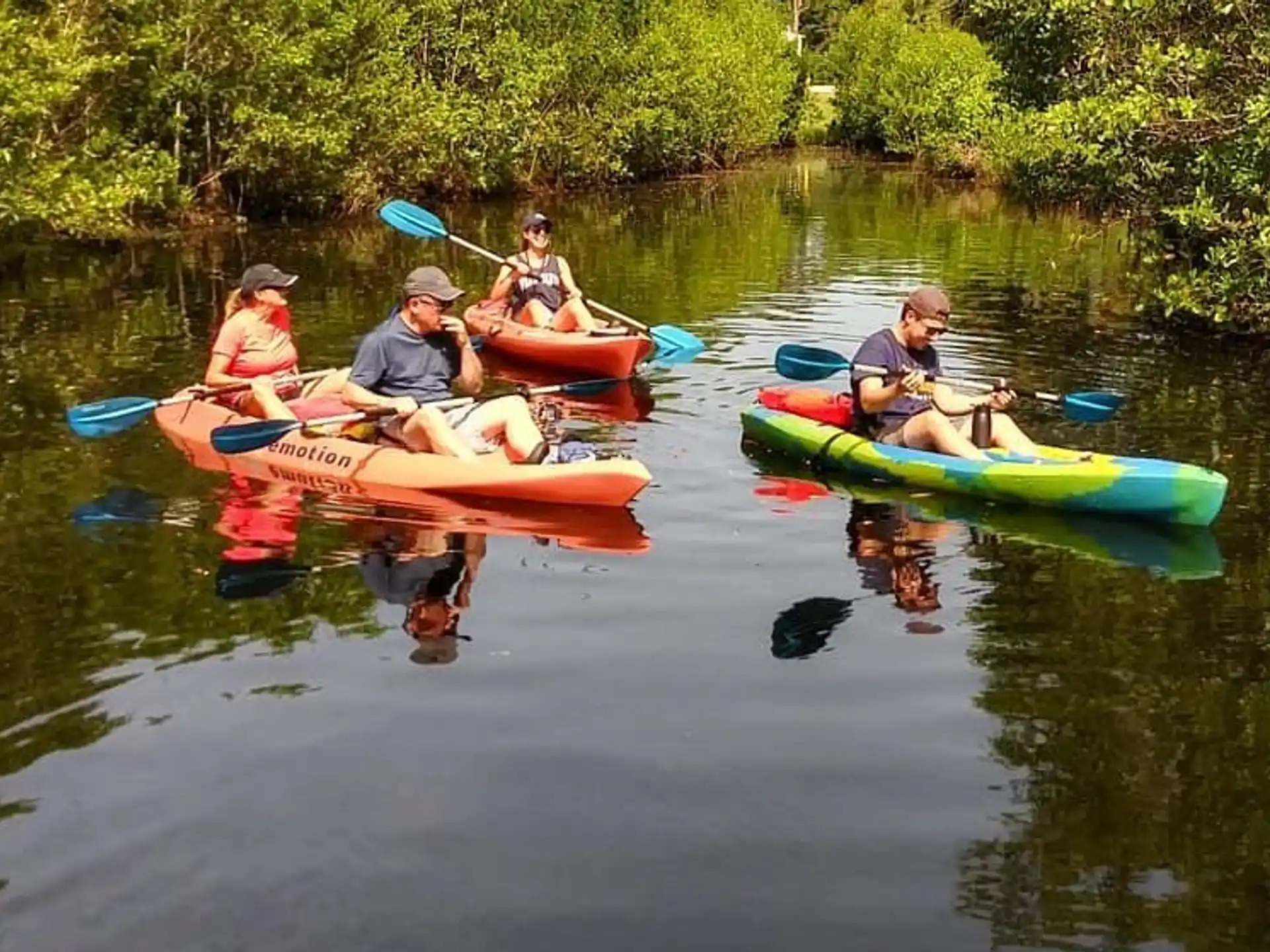 a group of people in kayaks on a river