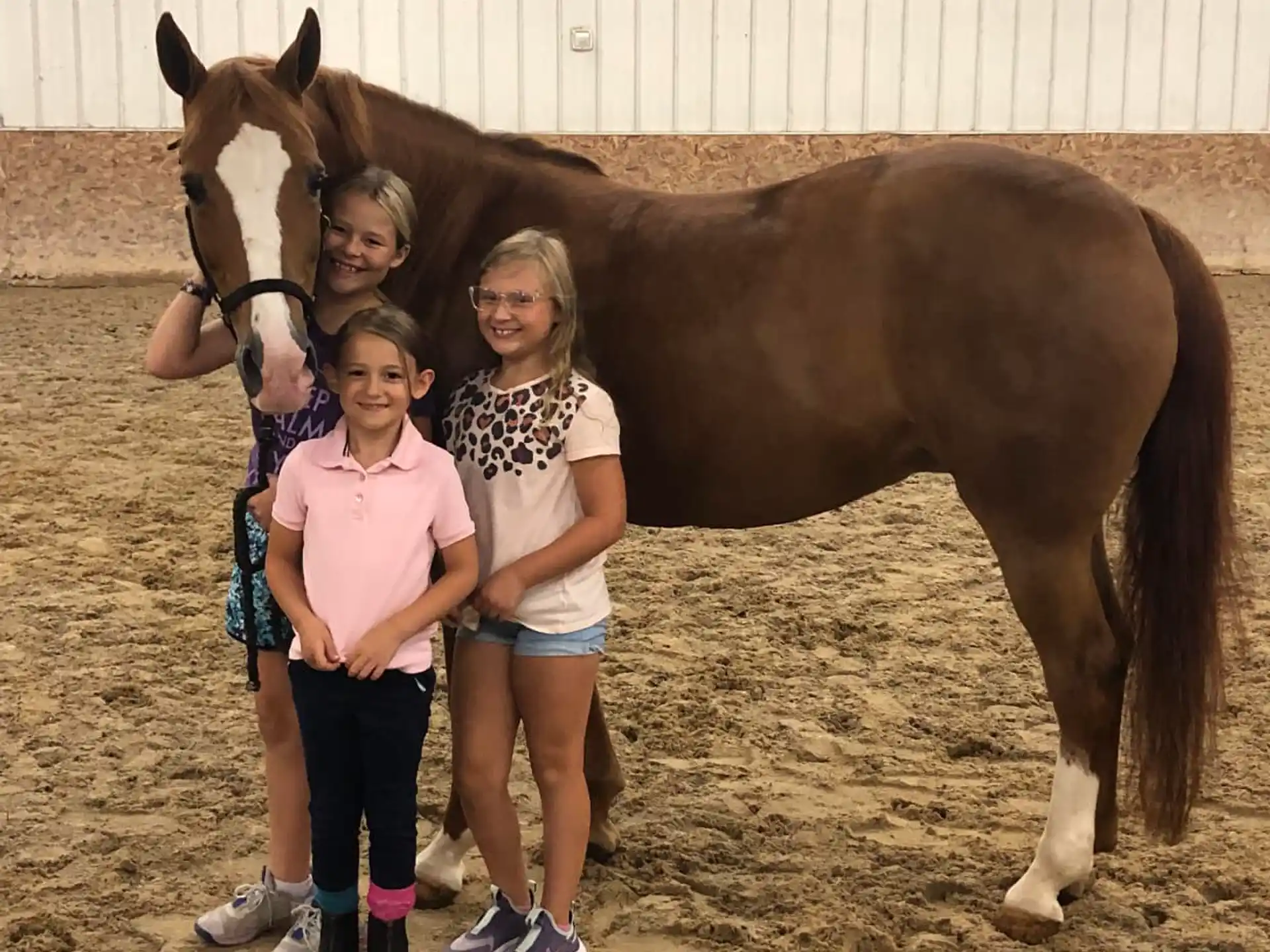 a group of girls posing for a picture next to a horse