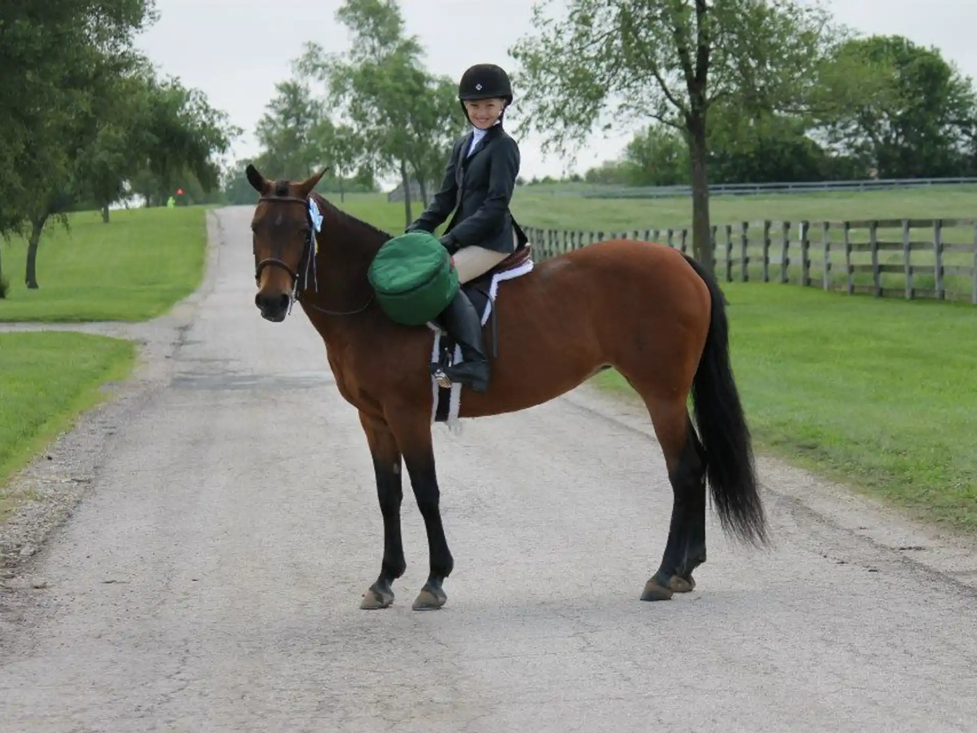 a person riding a horse
