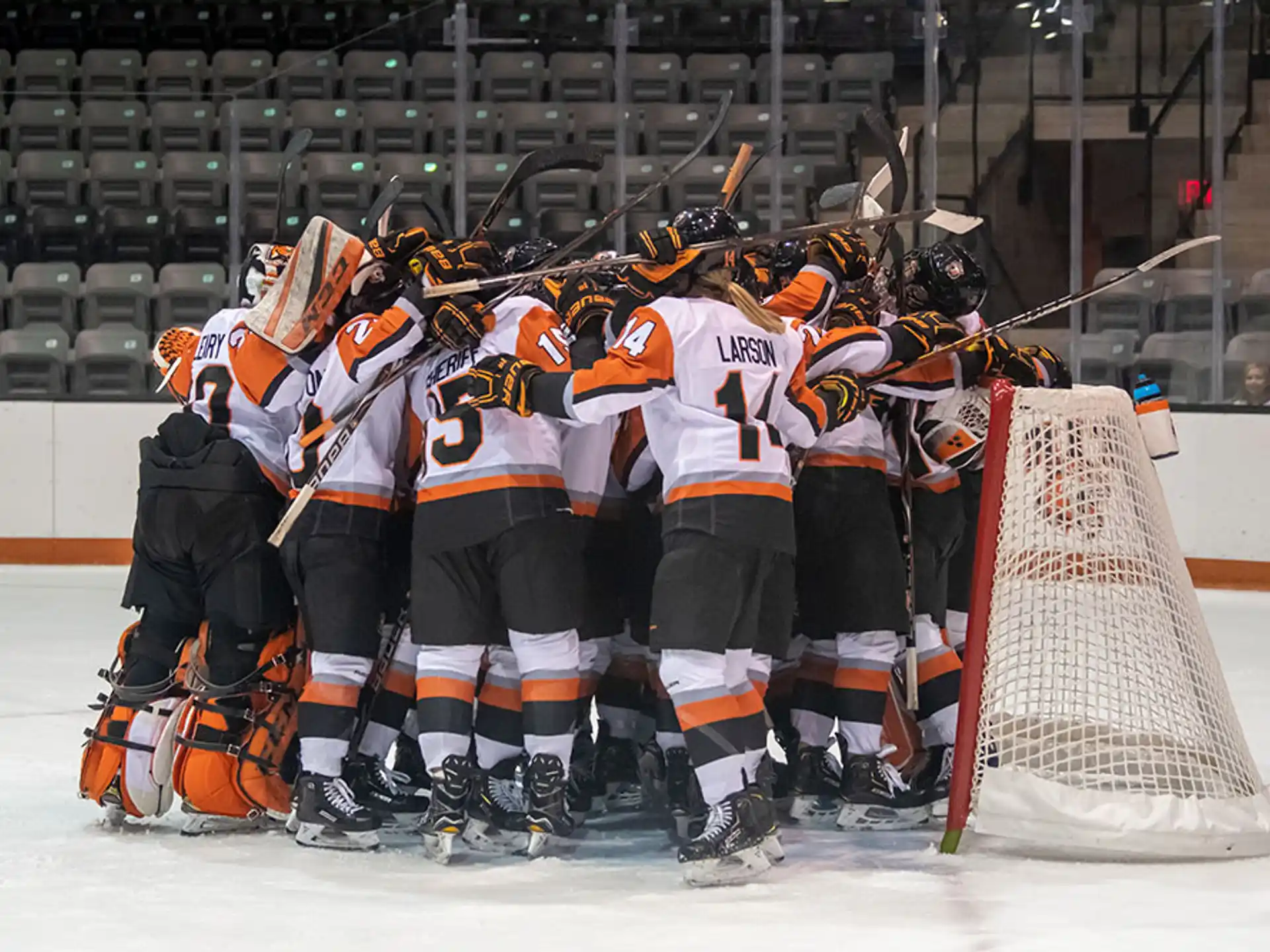 a group of hockey players in a line