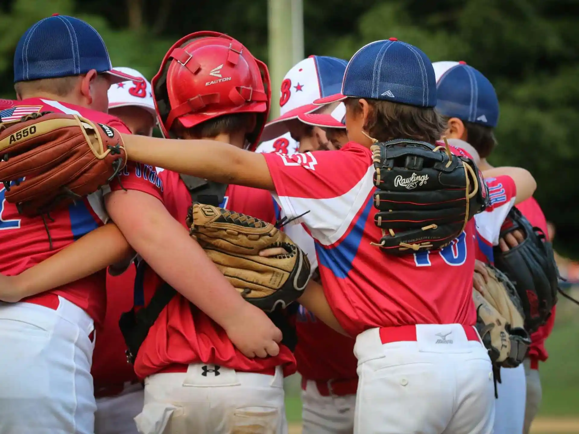 Brandywine Little League — 123b56e5 57df 4d04 893b 5d259e21daa2
