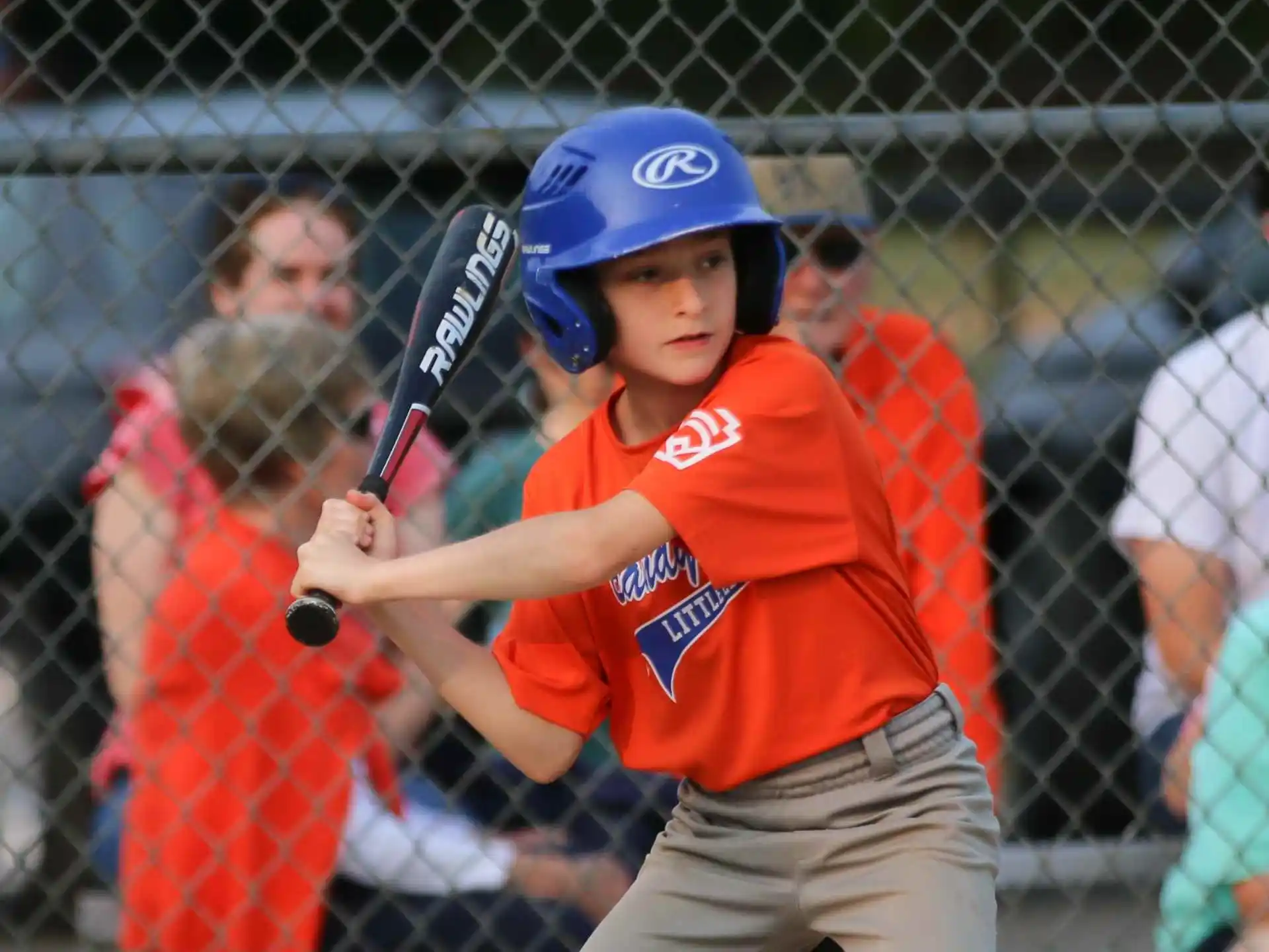 Brandywine Little League — 8156dfda ff4f 4401 9963 710f698fd4ba