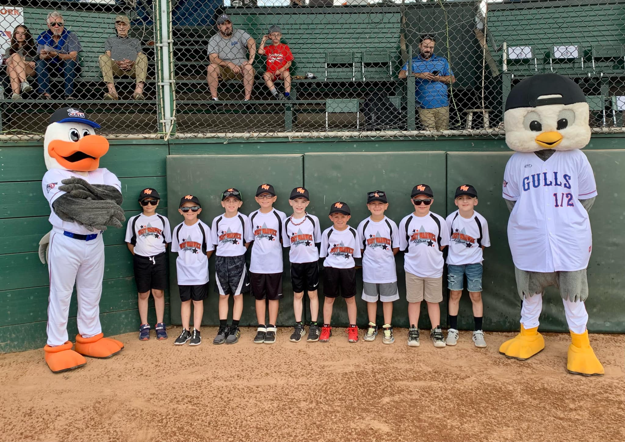 a group of people in mascot clothing