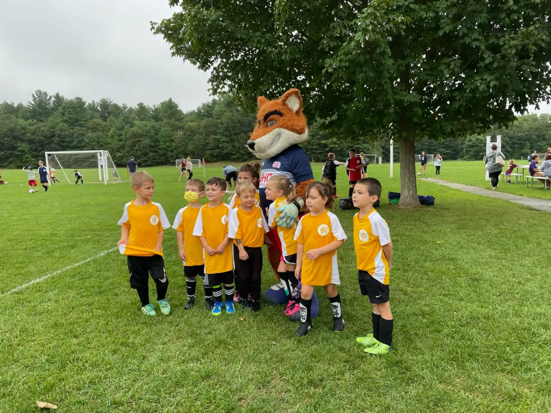 a group of kids in yellow shirts standing in front of a dog