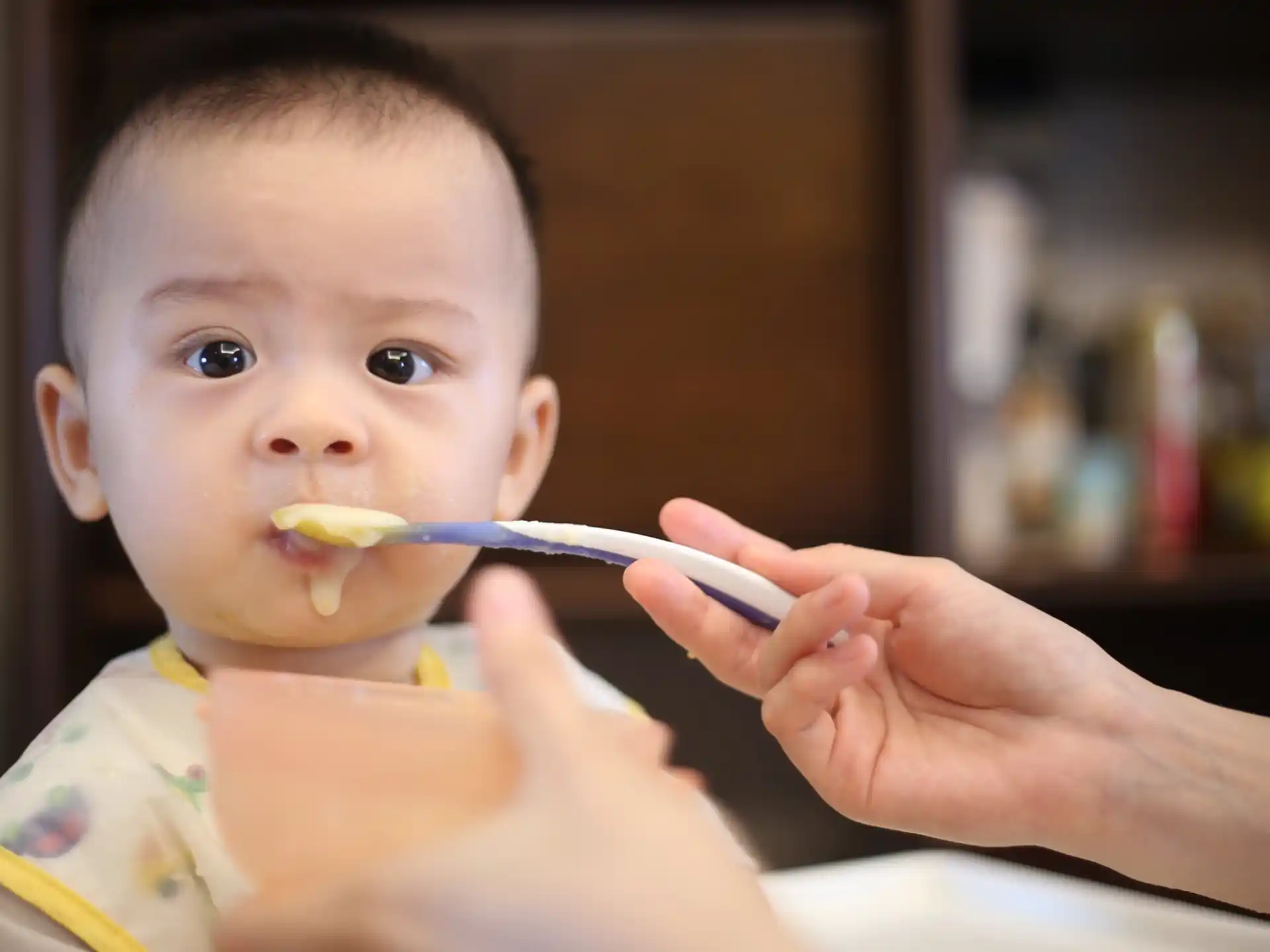 a baby brushes his teeth