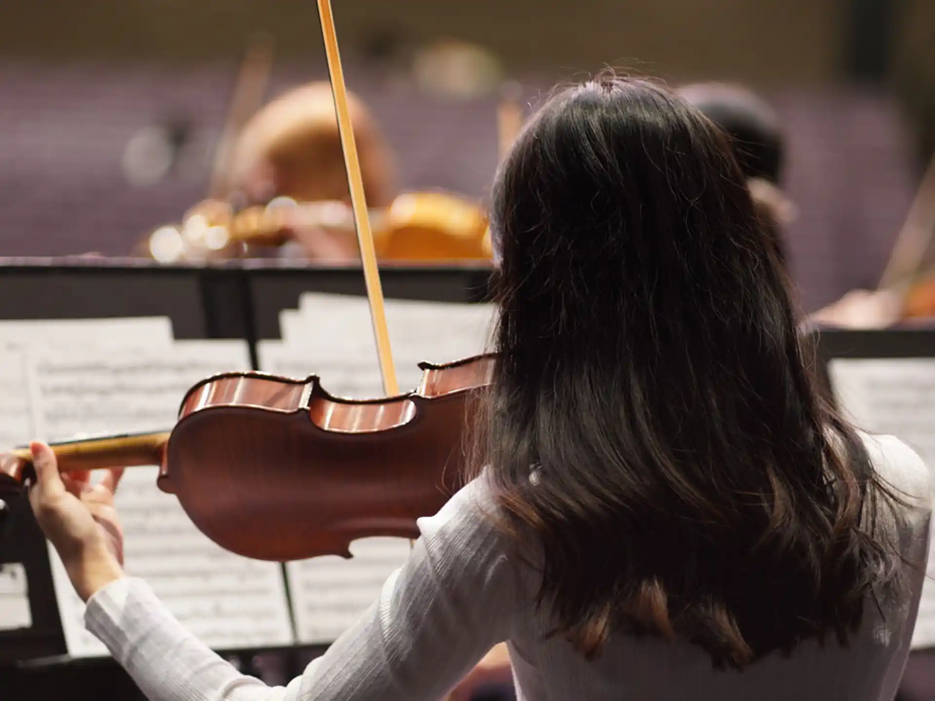 Tacoma Youth Symphony Associates — 3ae53896 73a8 4237 b535 46dd33e02400