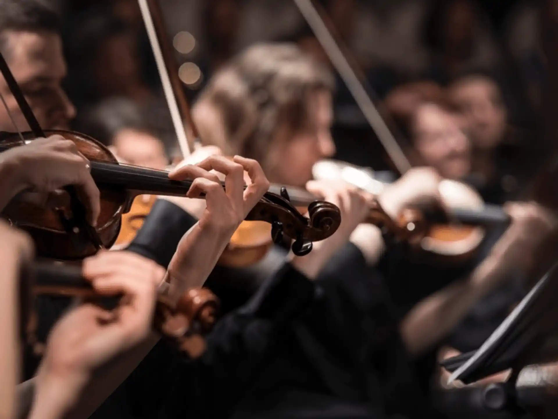Tacoma Youth Symphony Associates — aaaf4f96 9a82 4034 a1fd 90d7b4b6d2fc