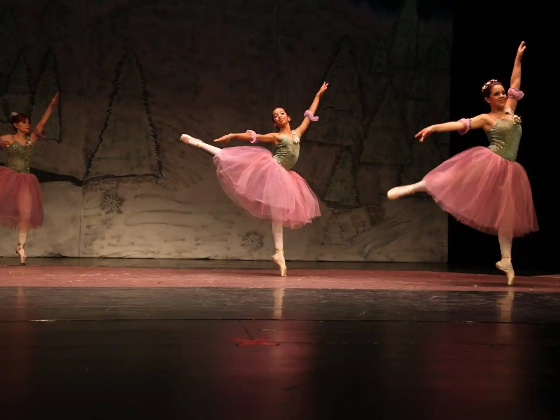 a group of women dancing on a stage