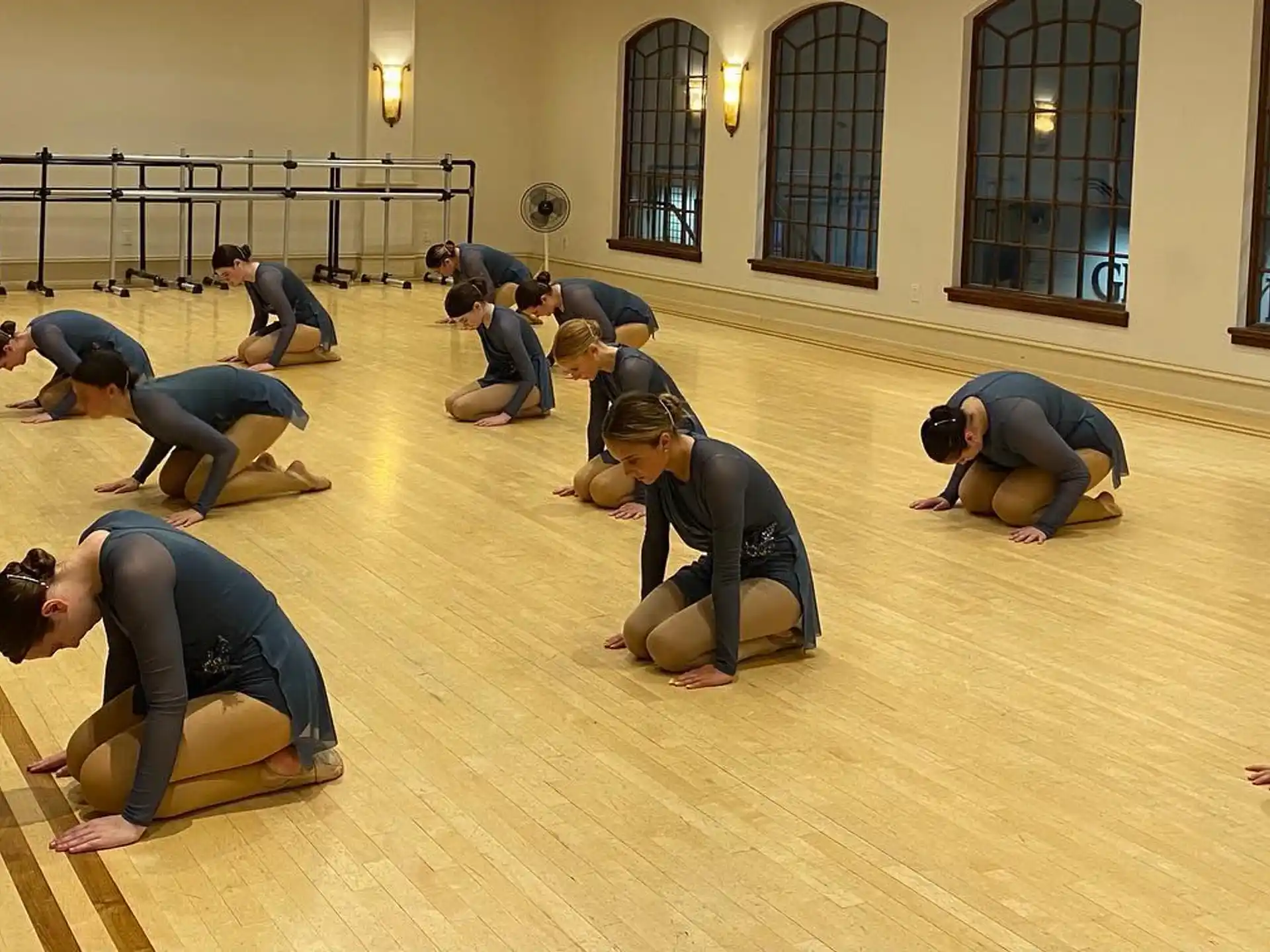 a group of people doing yoga