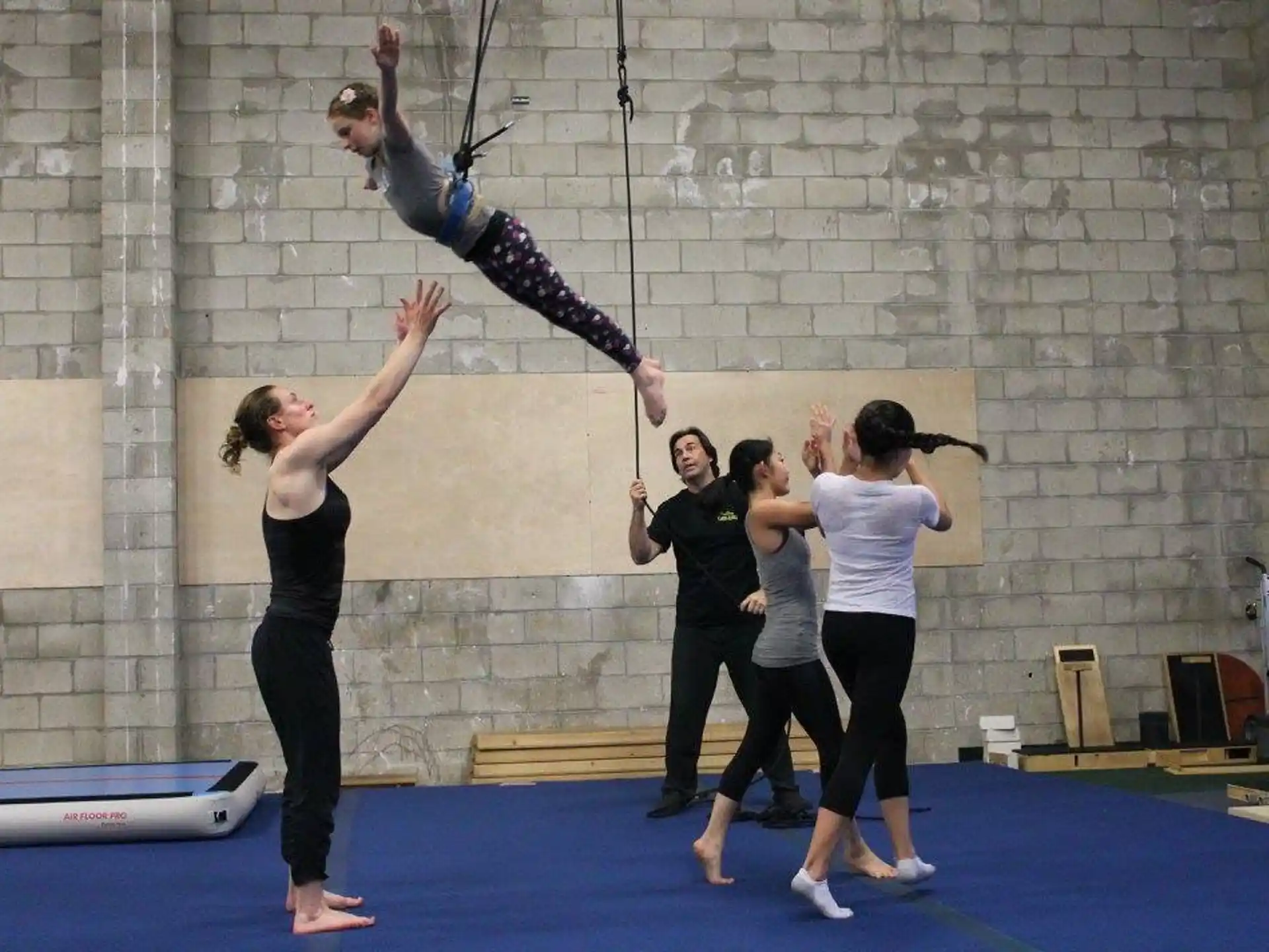 a group of people doing yoga