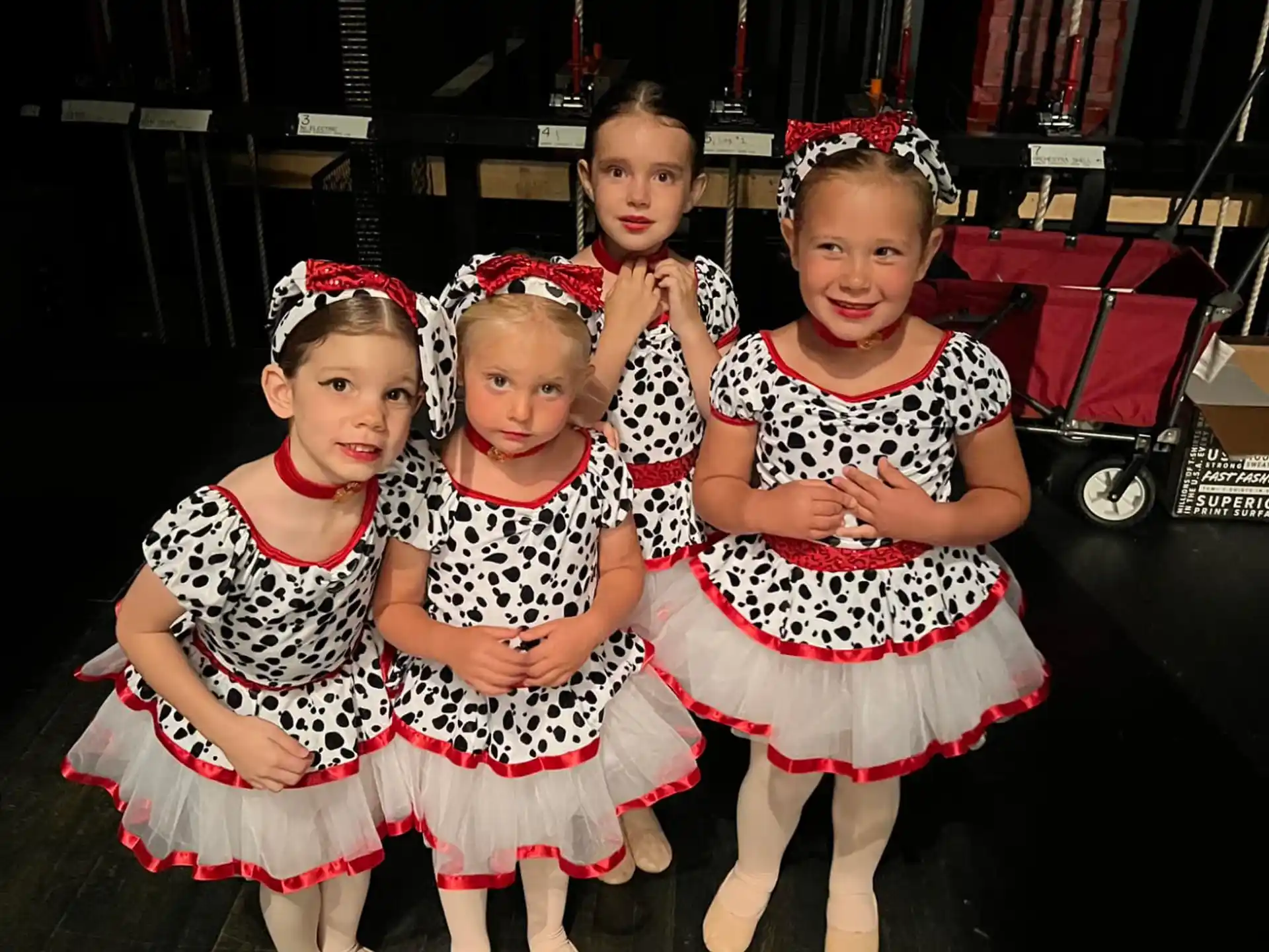 a group of girls in dresses and skirts posing for a photo