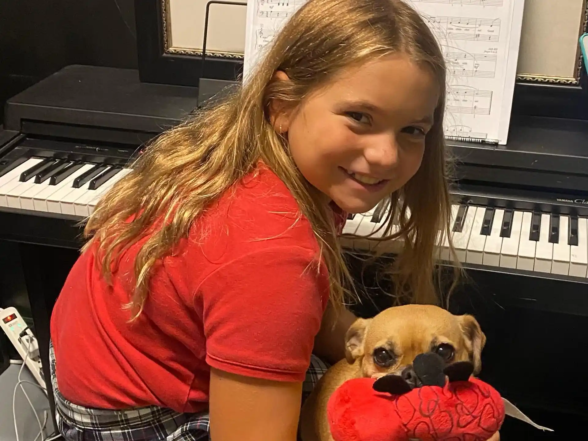 a person holding a dog