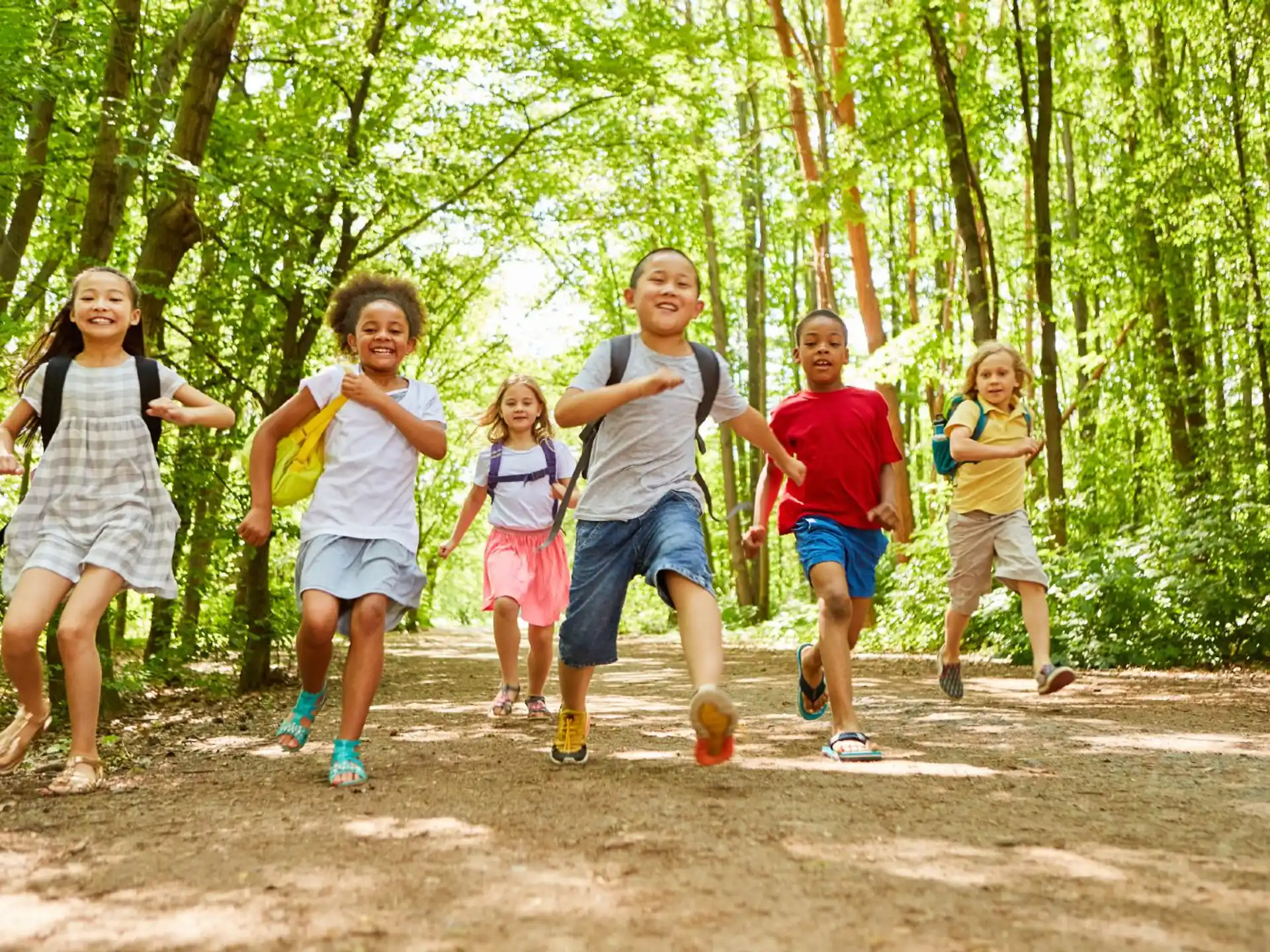 a group of people running in the woods