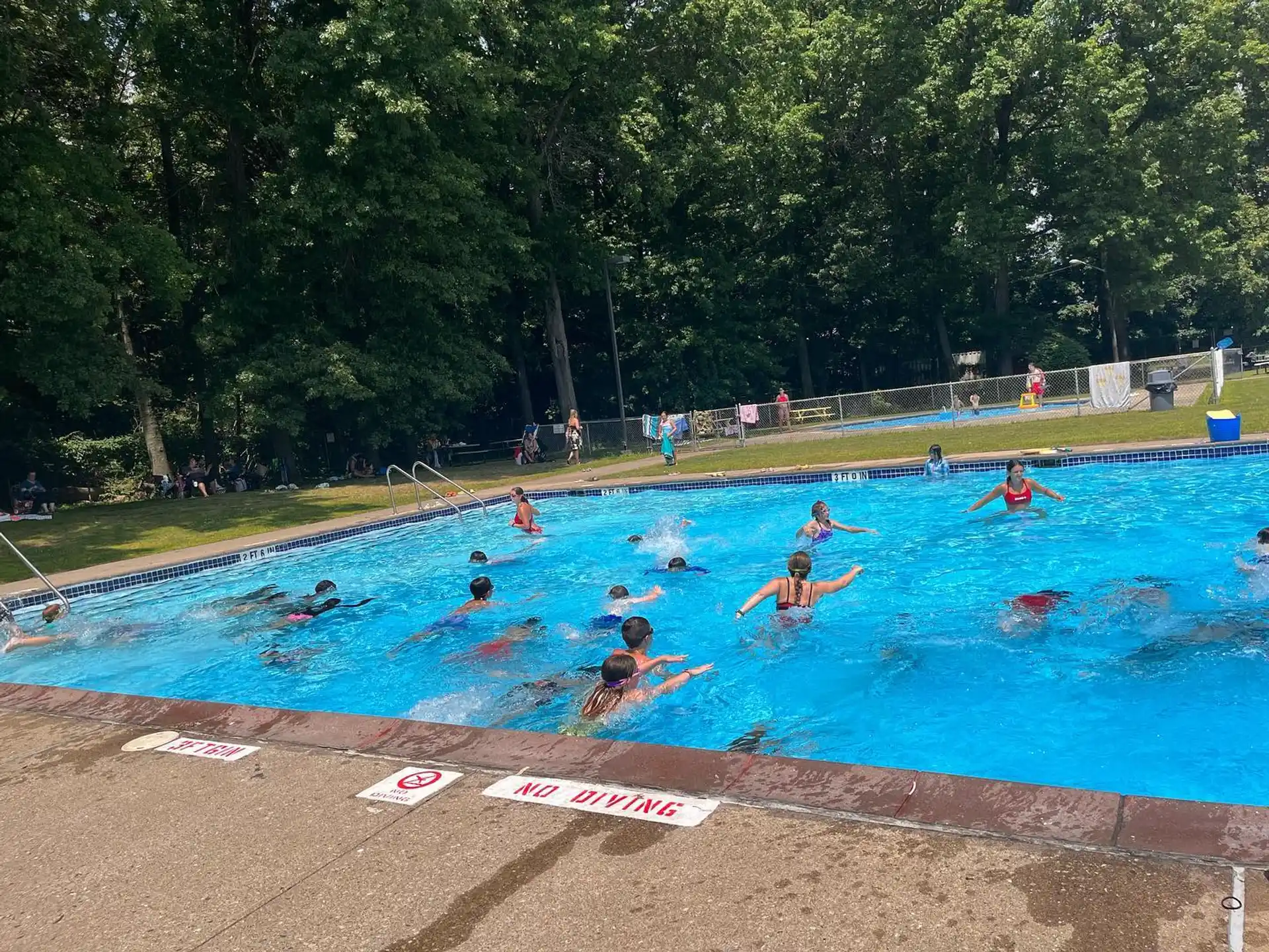 a group of people in a pool
