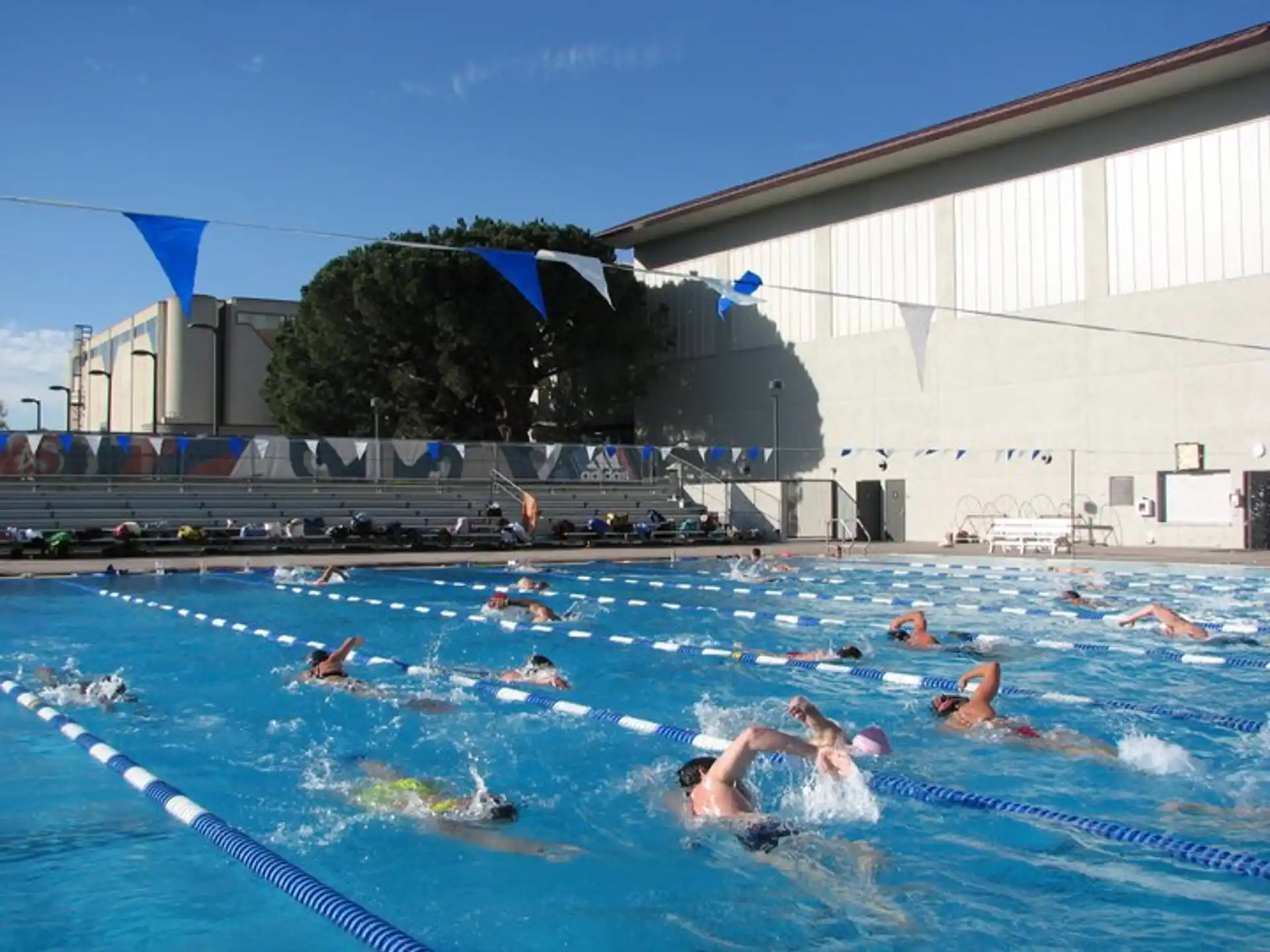 a group of people in a pool