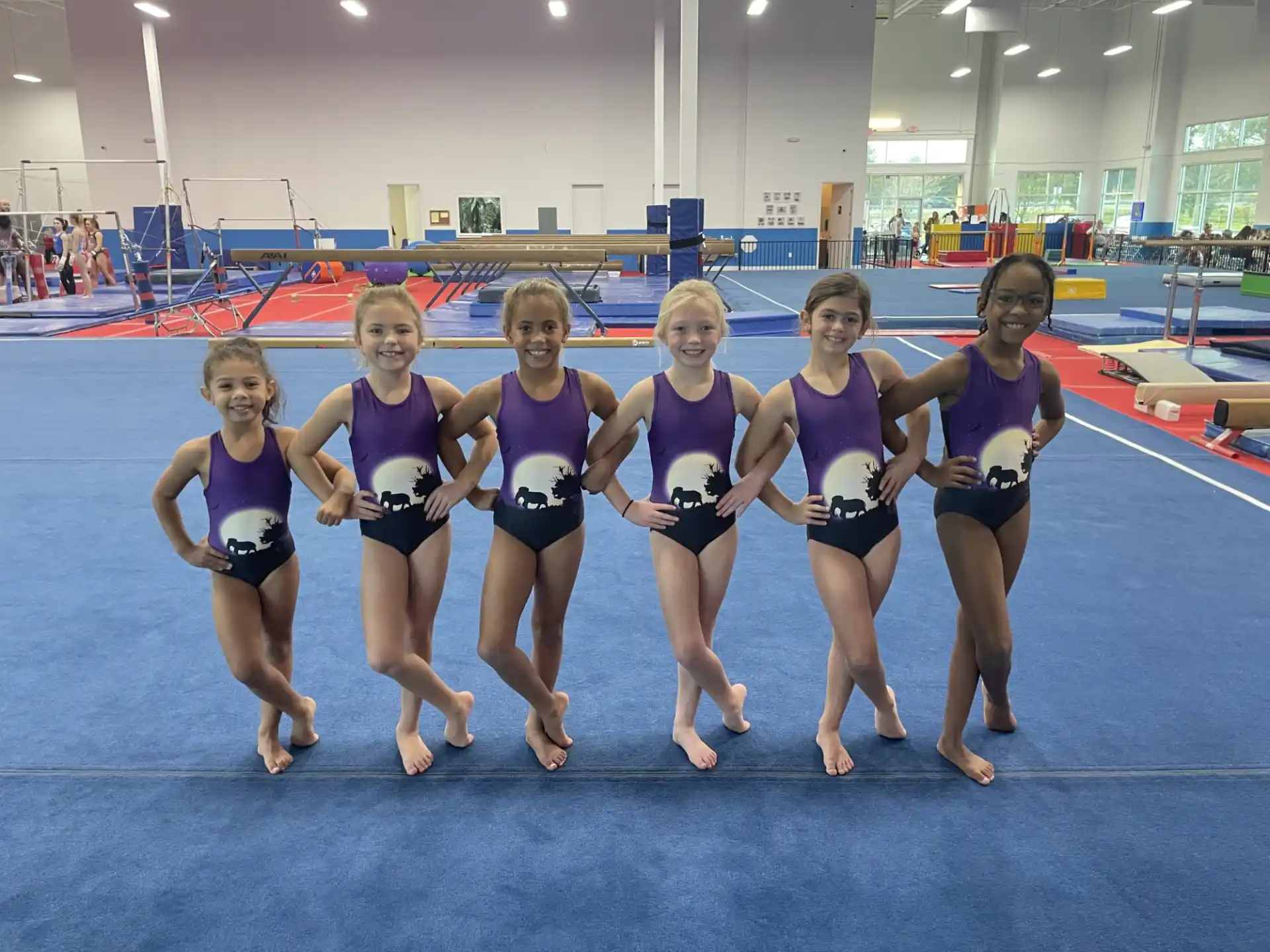 a group of girls in leotards posing for a photo
