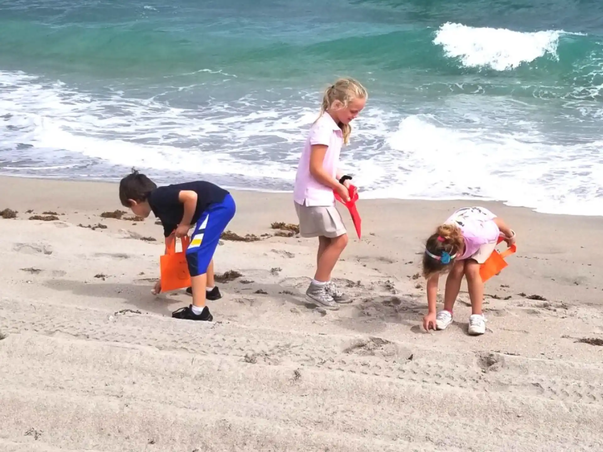 a group of people playing on the beach