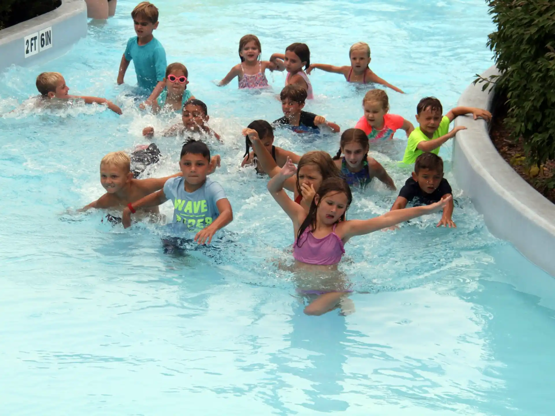 a group of children in a pool