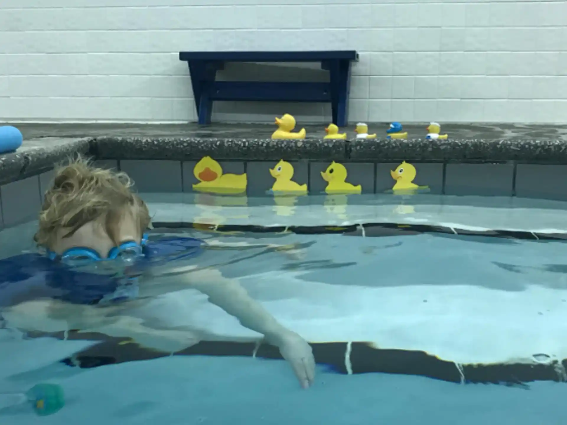 a person in a pool with yellow rubber ducks
