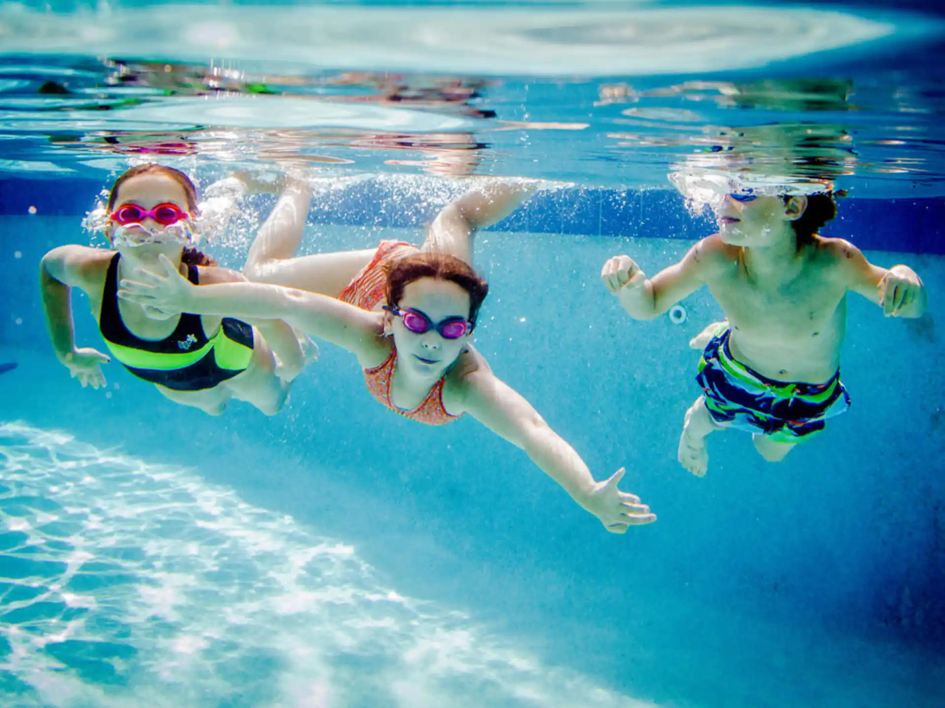 a group of people swimming in a pool