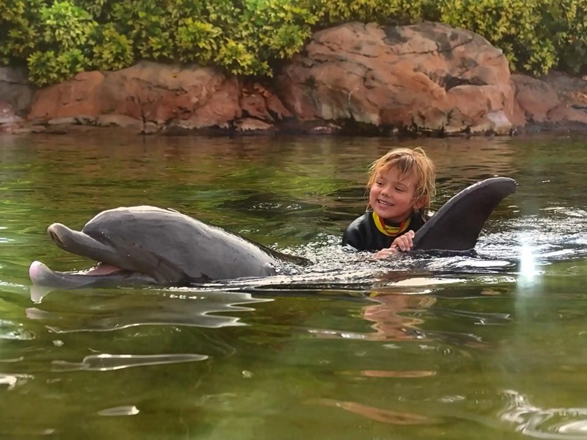 a boy and a dolphin in water
