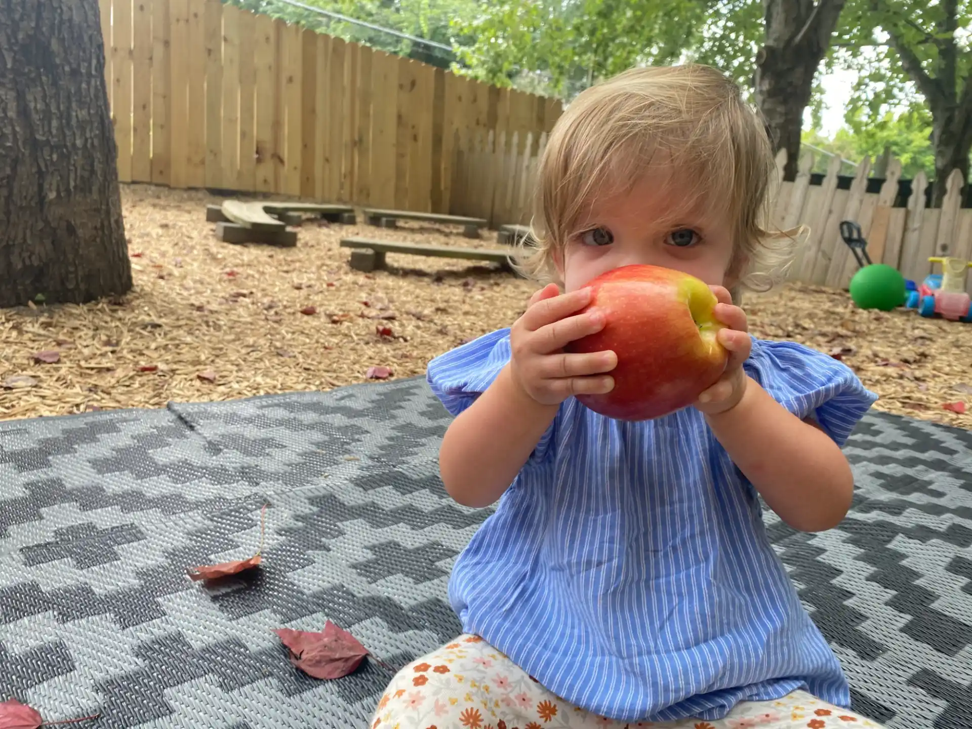 a child holding an apple