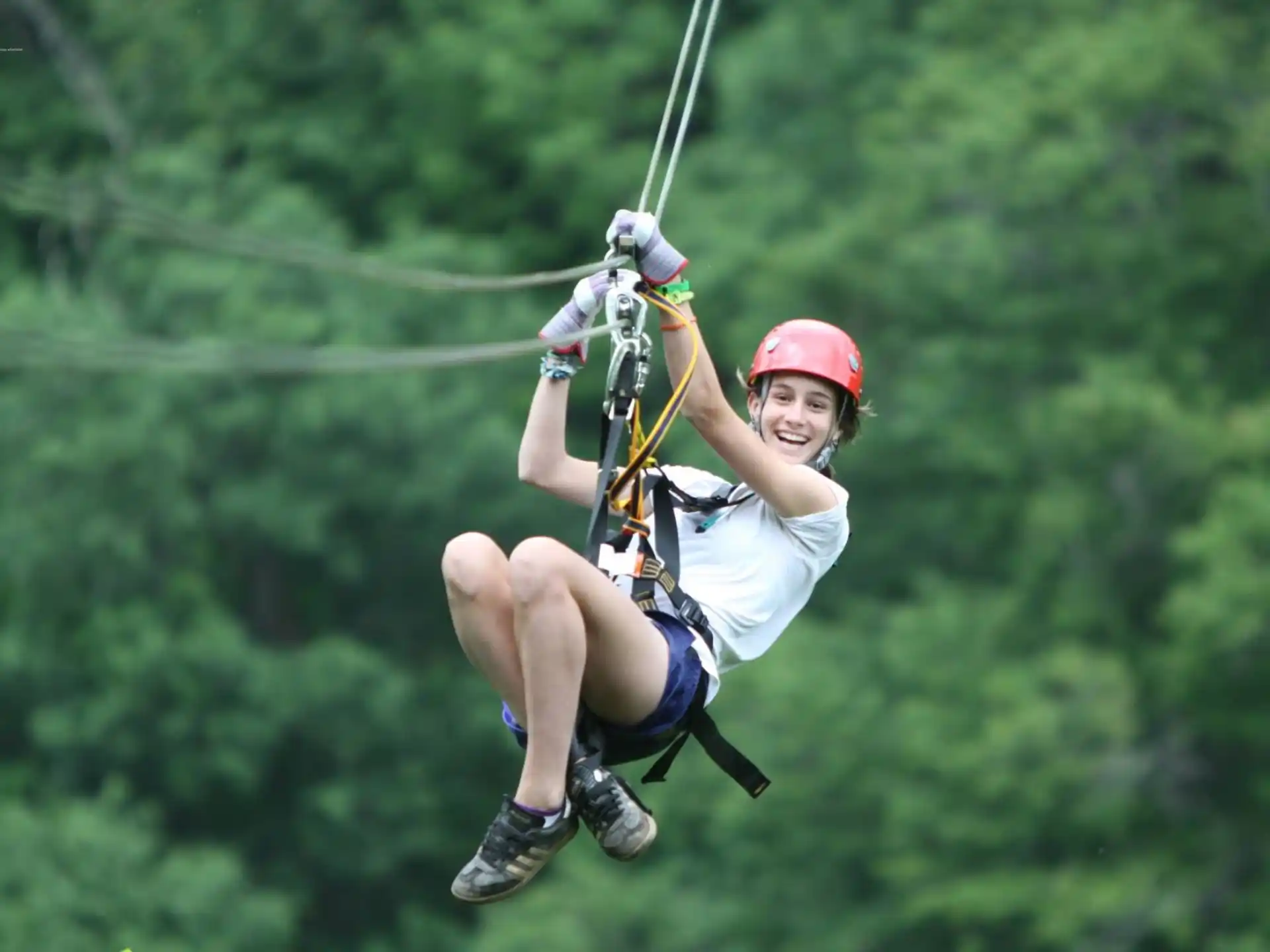 a person in a harness
