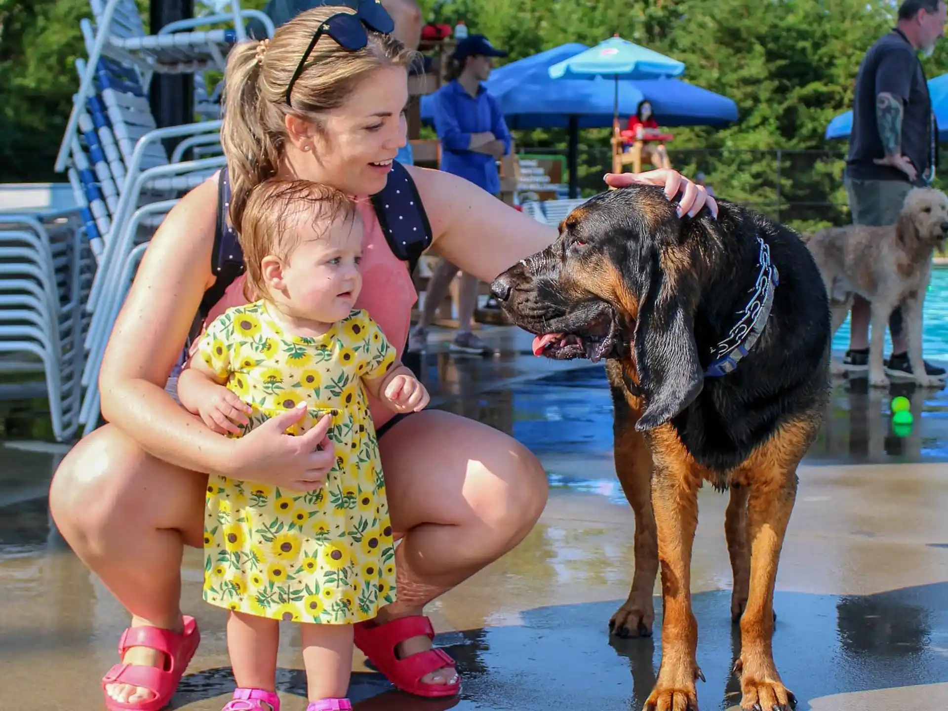 a girl and a dog