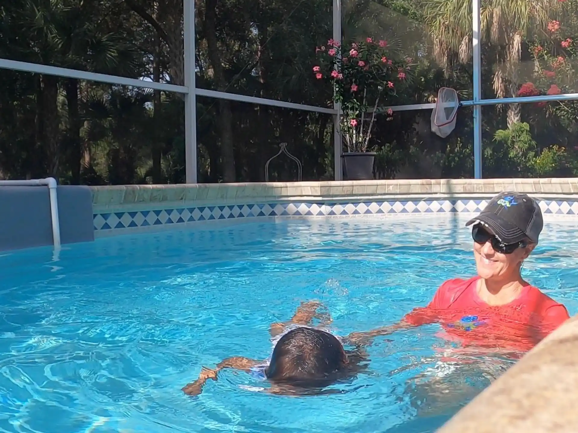 a dolphin in a pool
