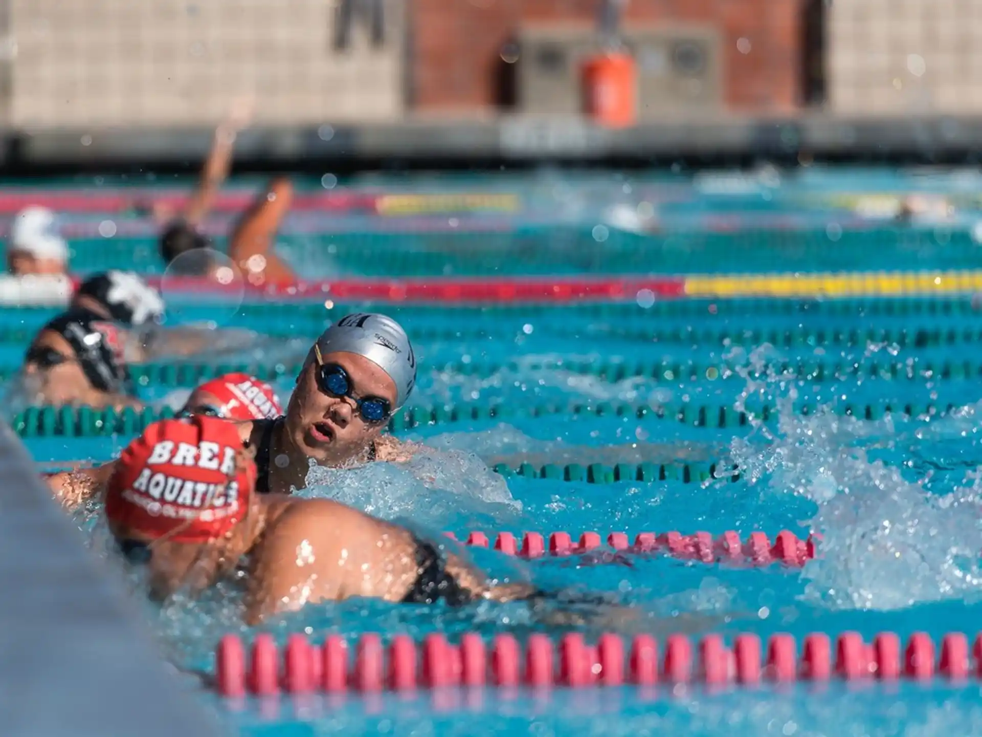 a group of people swimming in a pool