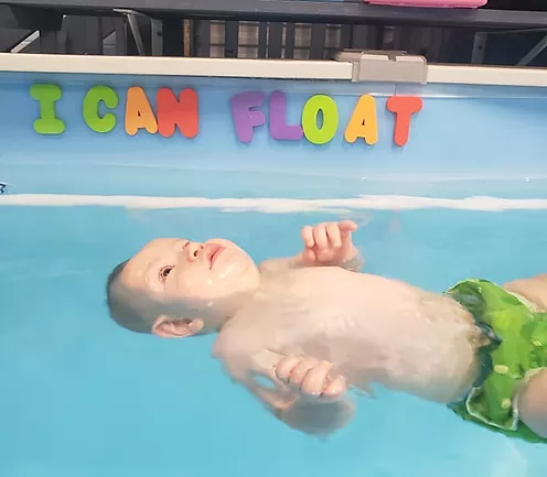 a baby dolphin in a pool