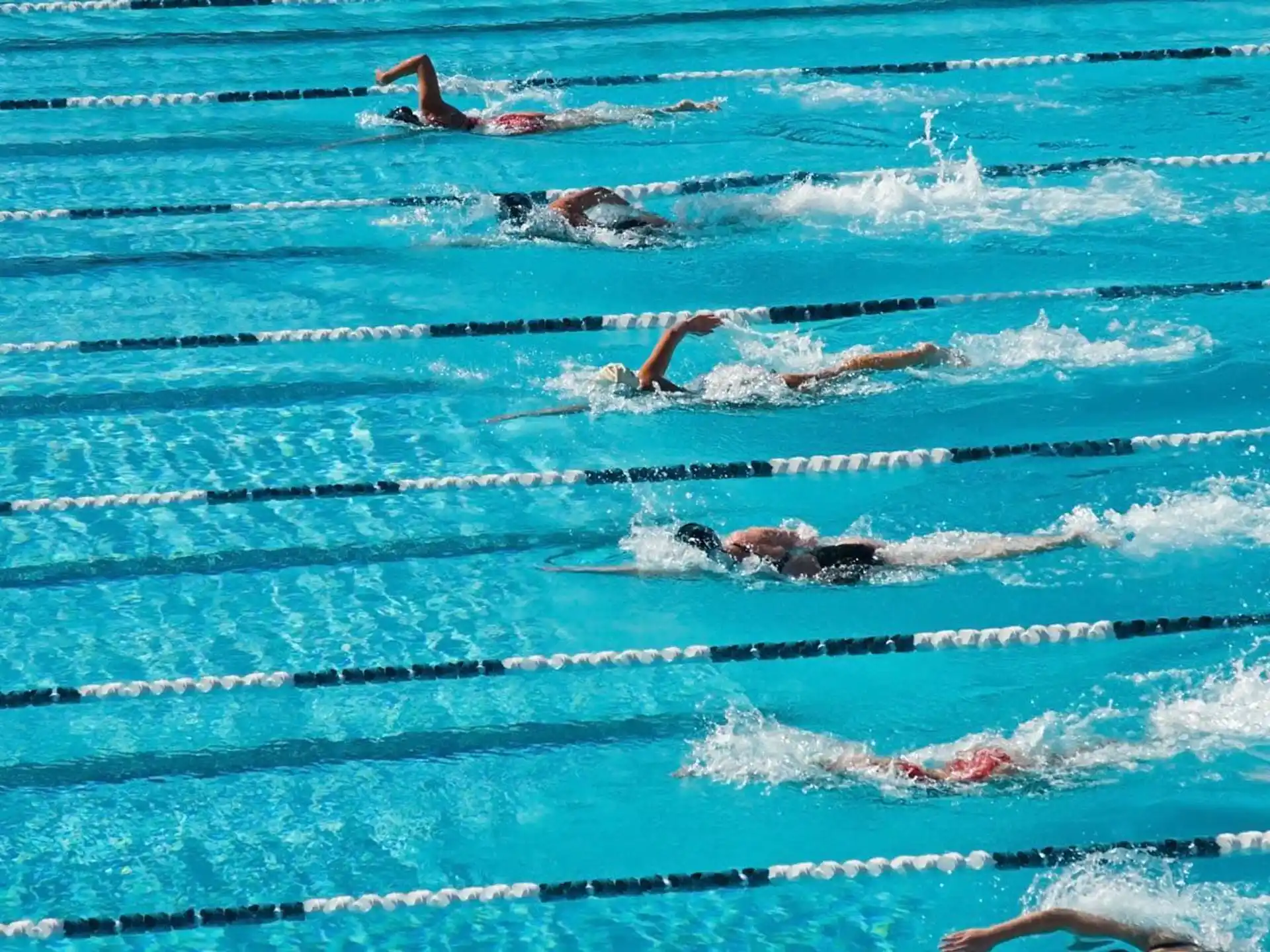 a group of people swimming in a pool