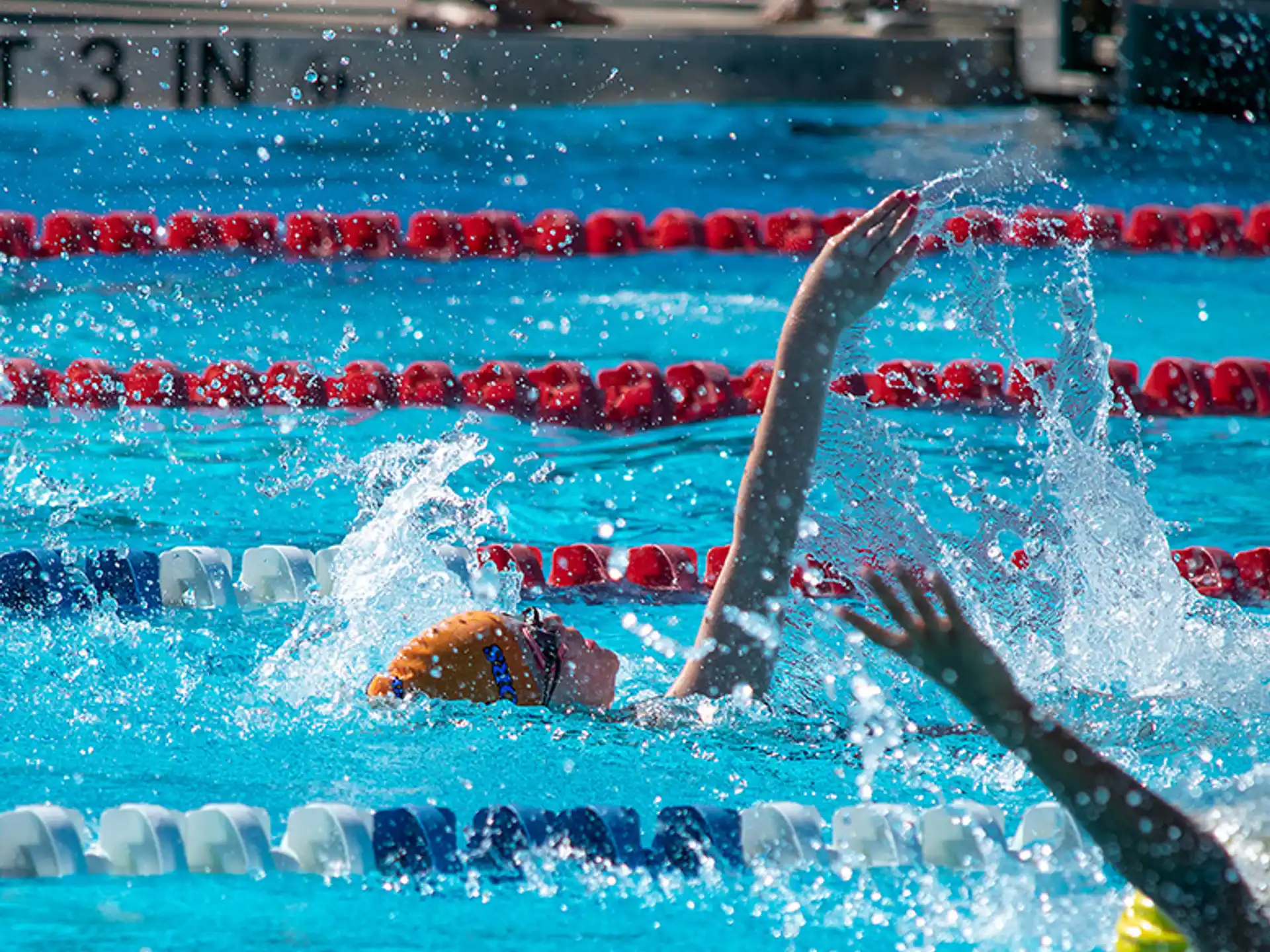 a person swimming in a pool