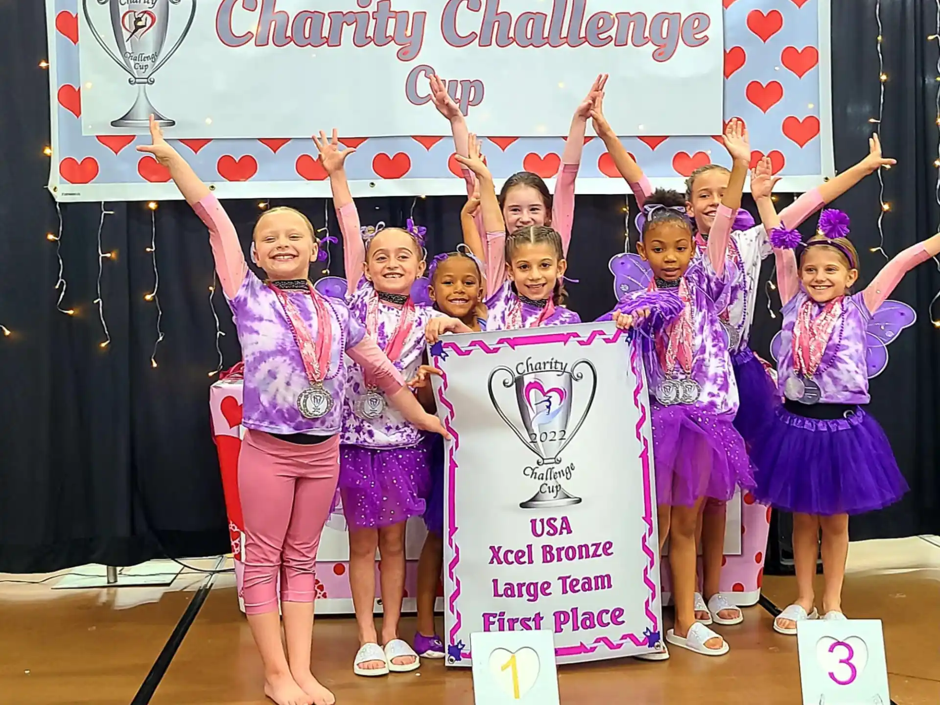 a group of girls in purple and pink dresses holding a sign